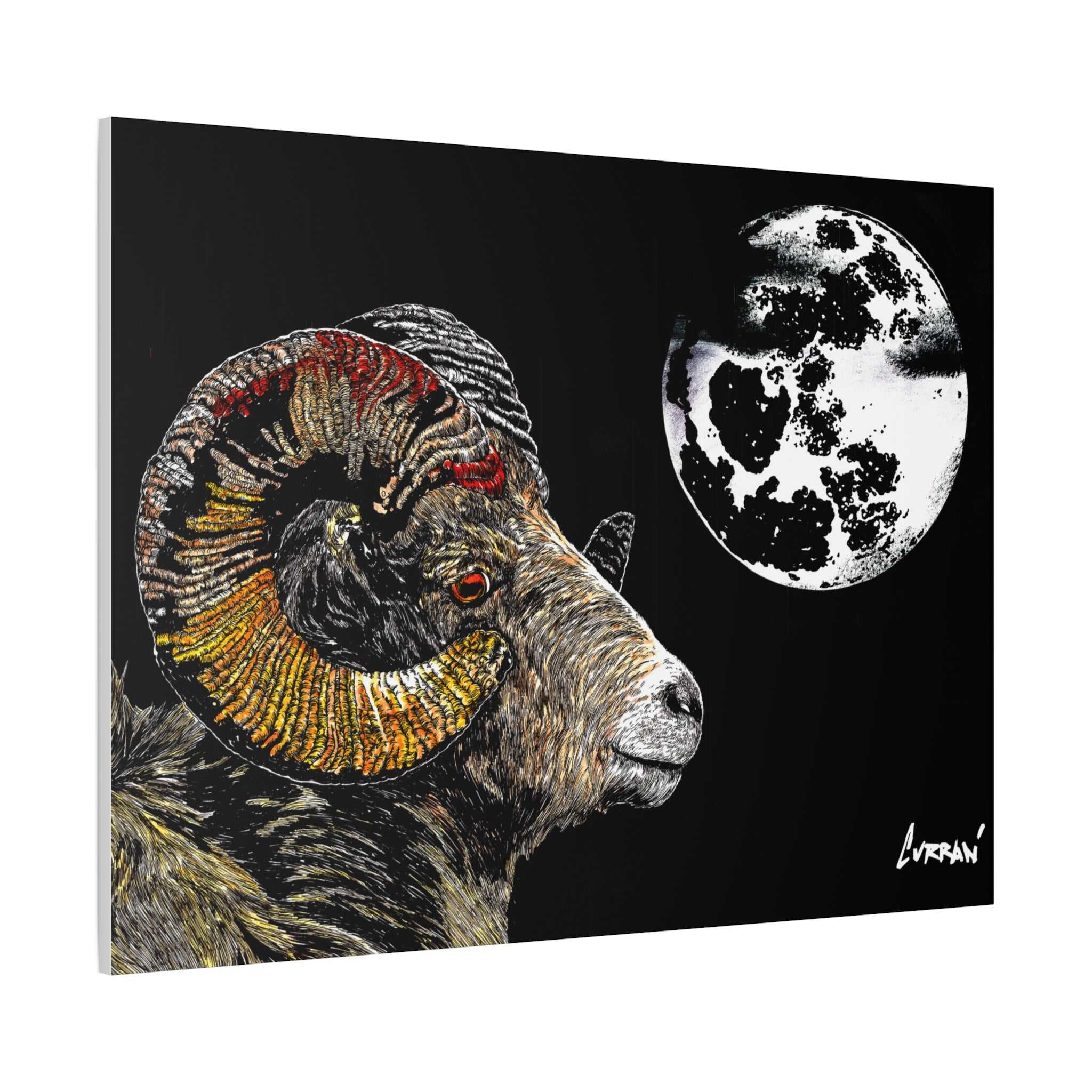 Mountain Ram Canvas Print - Art Print on Stretched Canvas