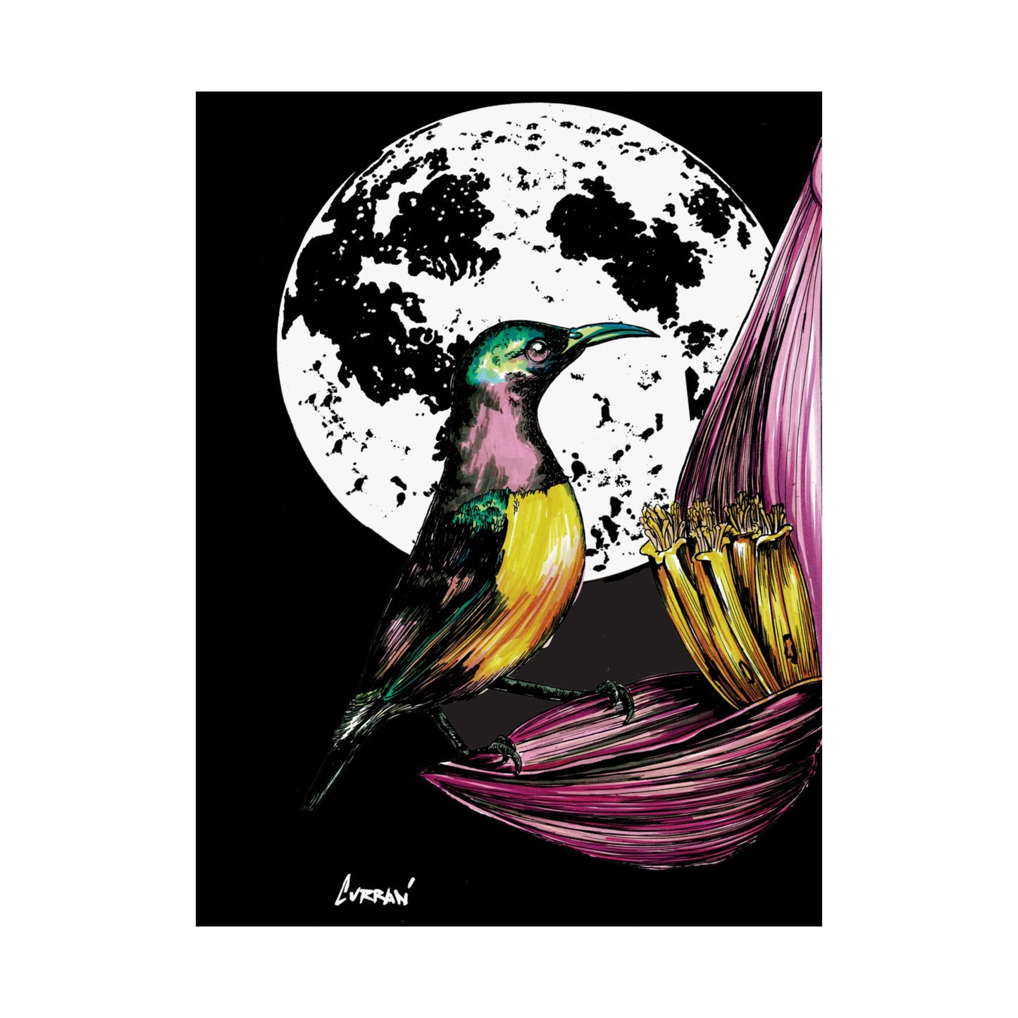 Vibrant Bird Satin Poster - 300gsm Art Print for Nature Lovers