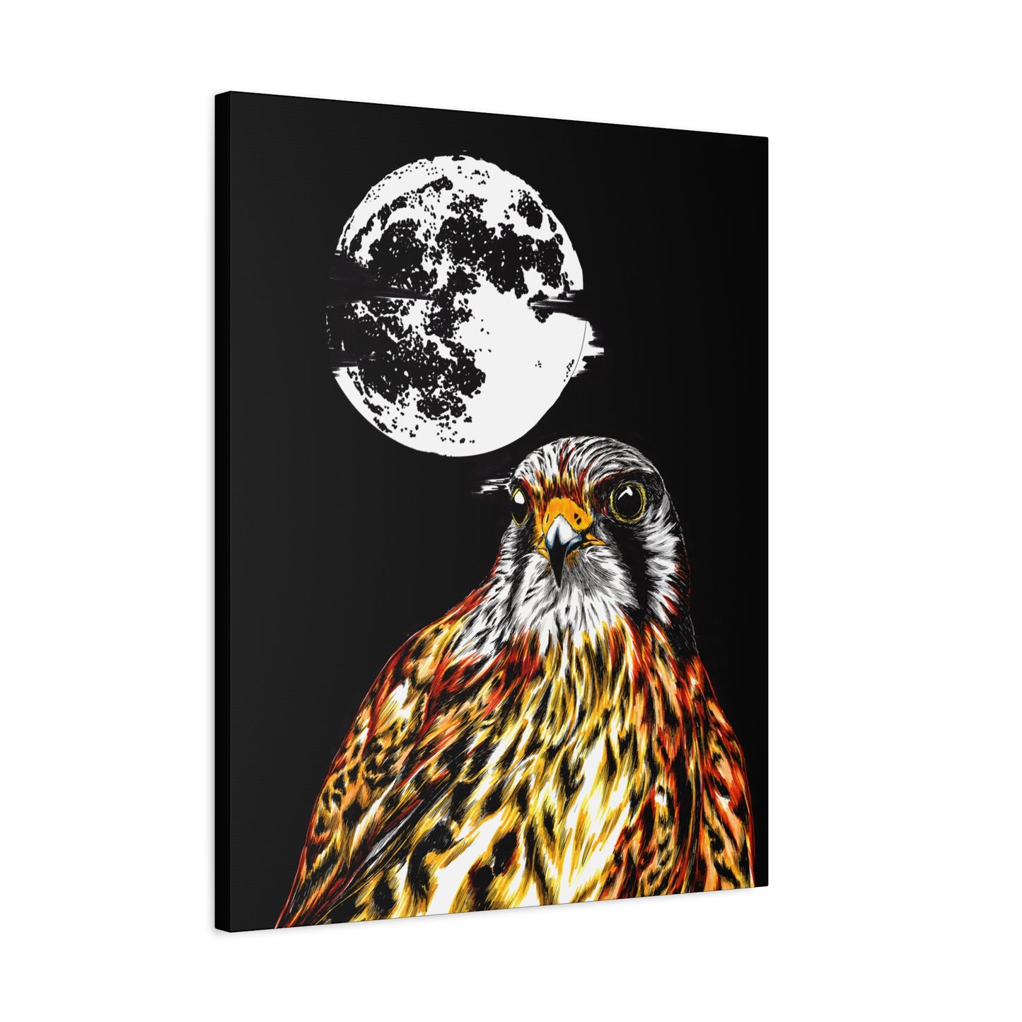 Falcon Wall Art, Falcon Print, Wildlife Art, Bird of Prey