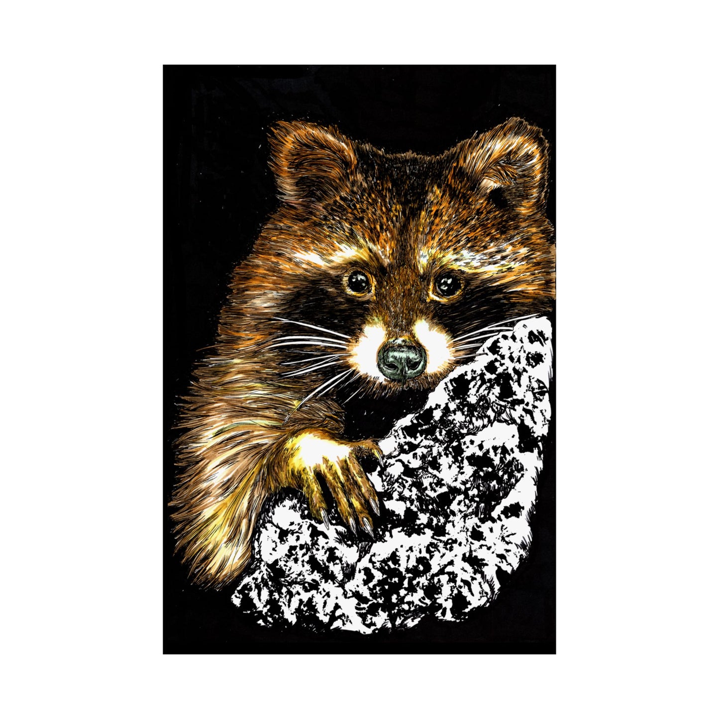Raccoon Wildlife Satin Poster - Hand-Drawn Raccoon Art Print (300gsm)