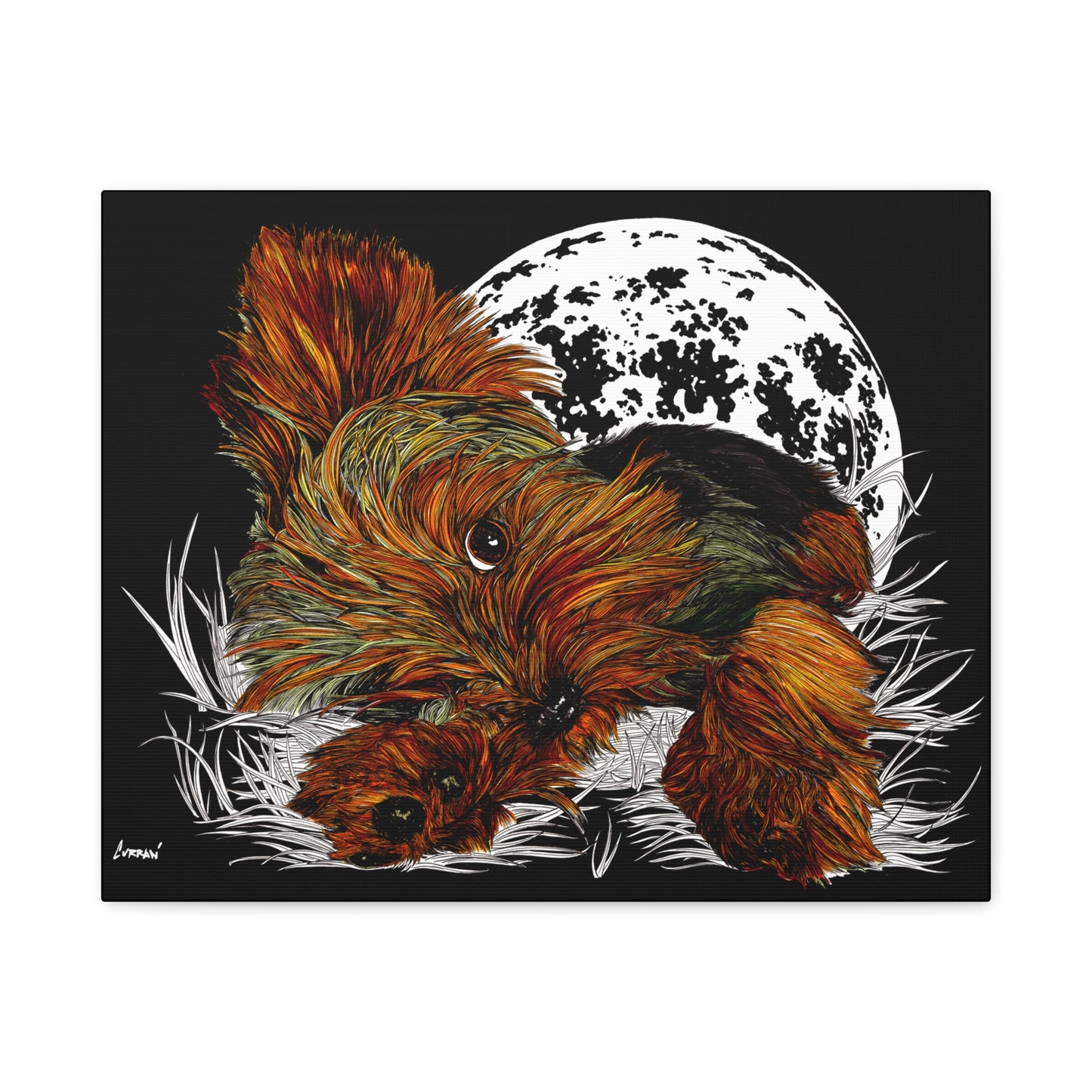 Yorkie Terrier Canvas Print - Cozy Yorkie with Moon Design