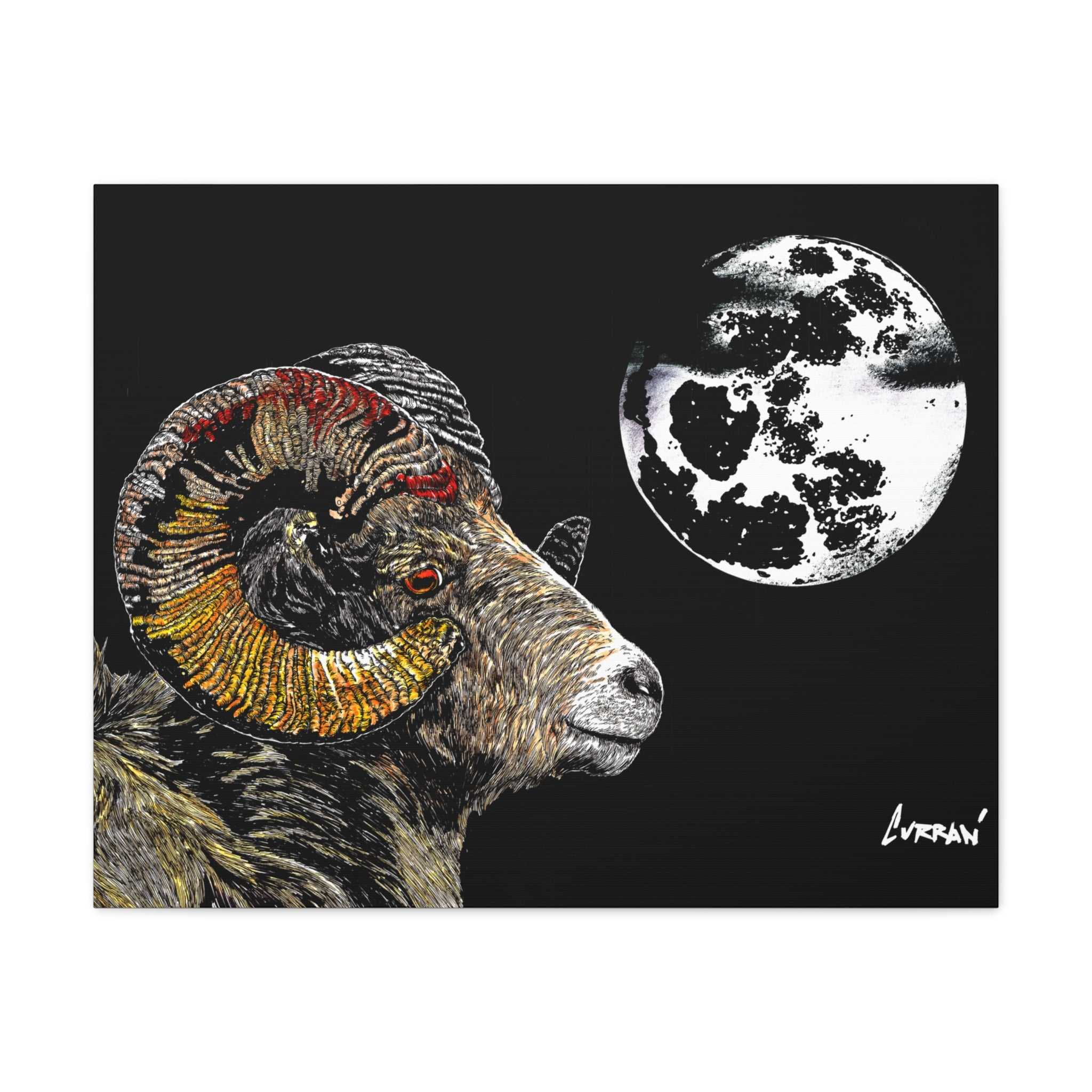 Mountain Ram Canvas Print - Art Print on Stretched Canvas