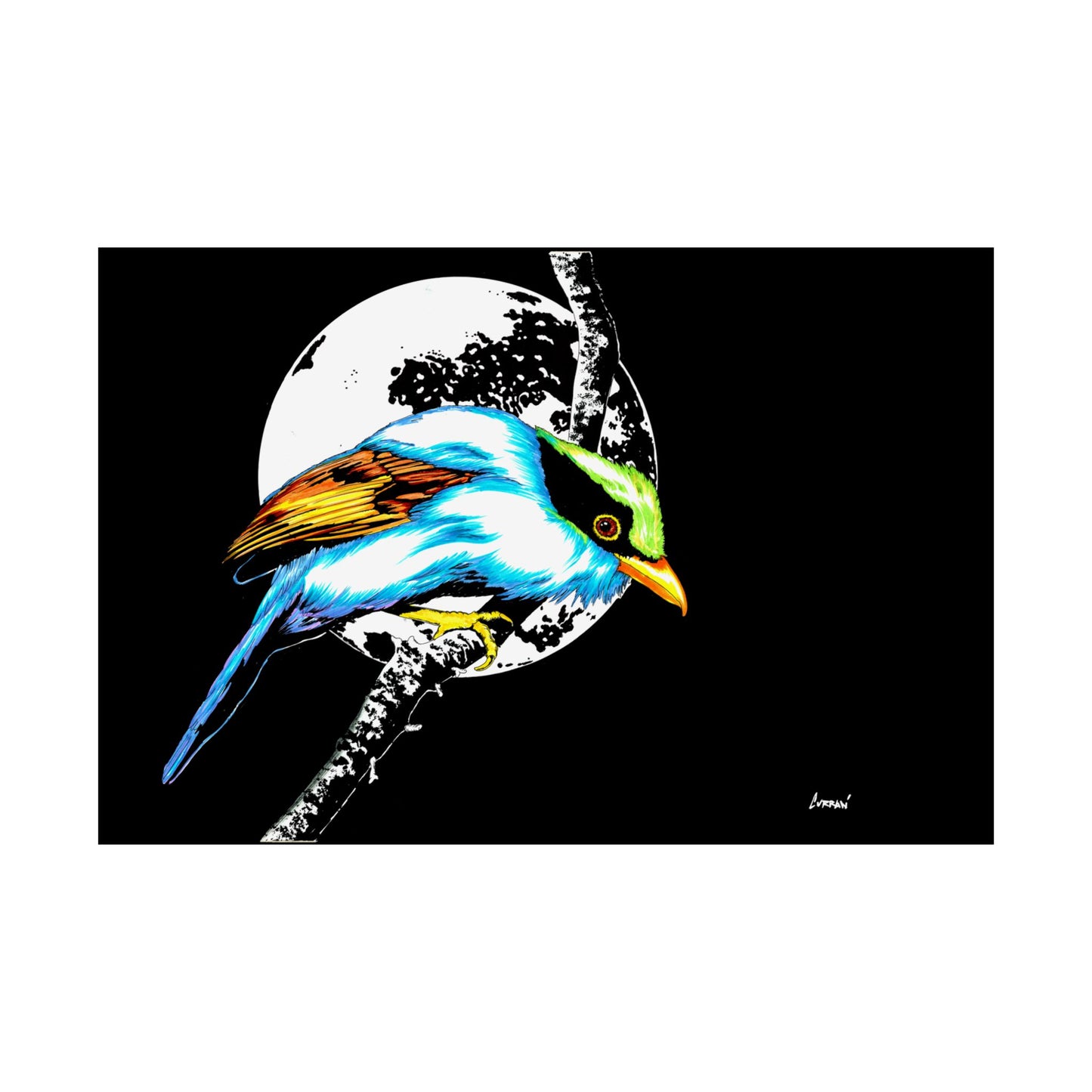 Vibrant Bird Satin Poster - 300gsm Wall Art Print for Nature Lovers
