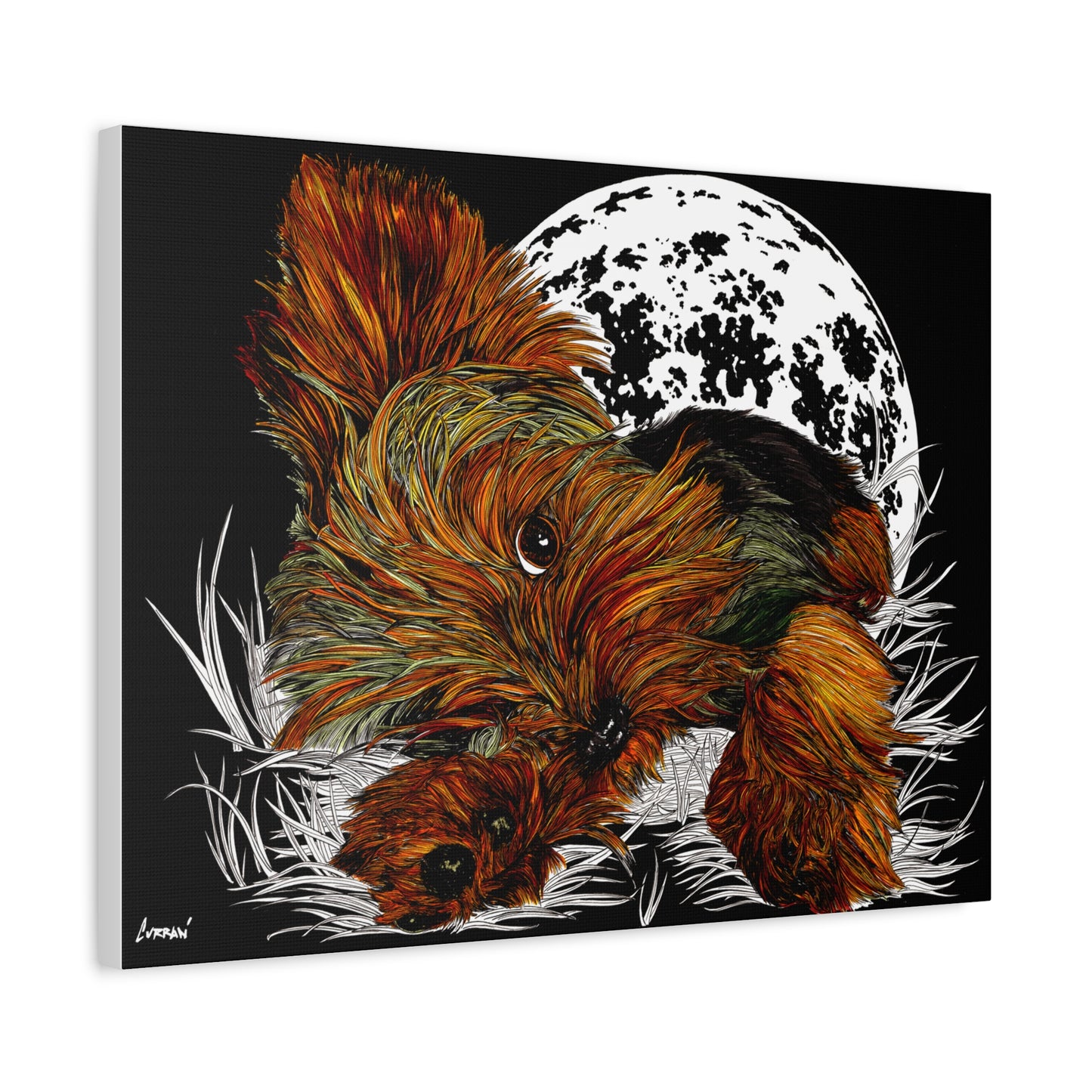 Yorkie Terrier Canvas Print - Cozy Yorkie with Moon Design