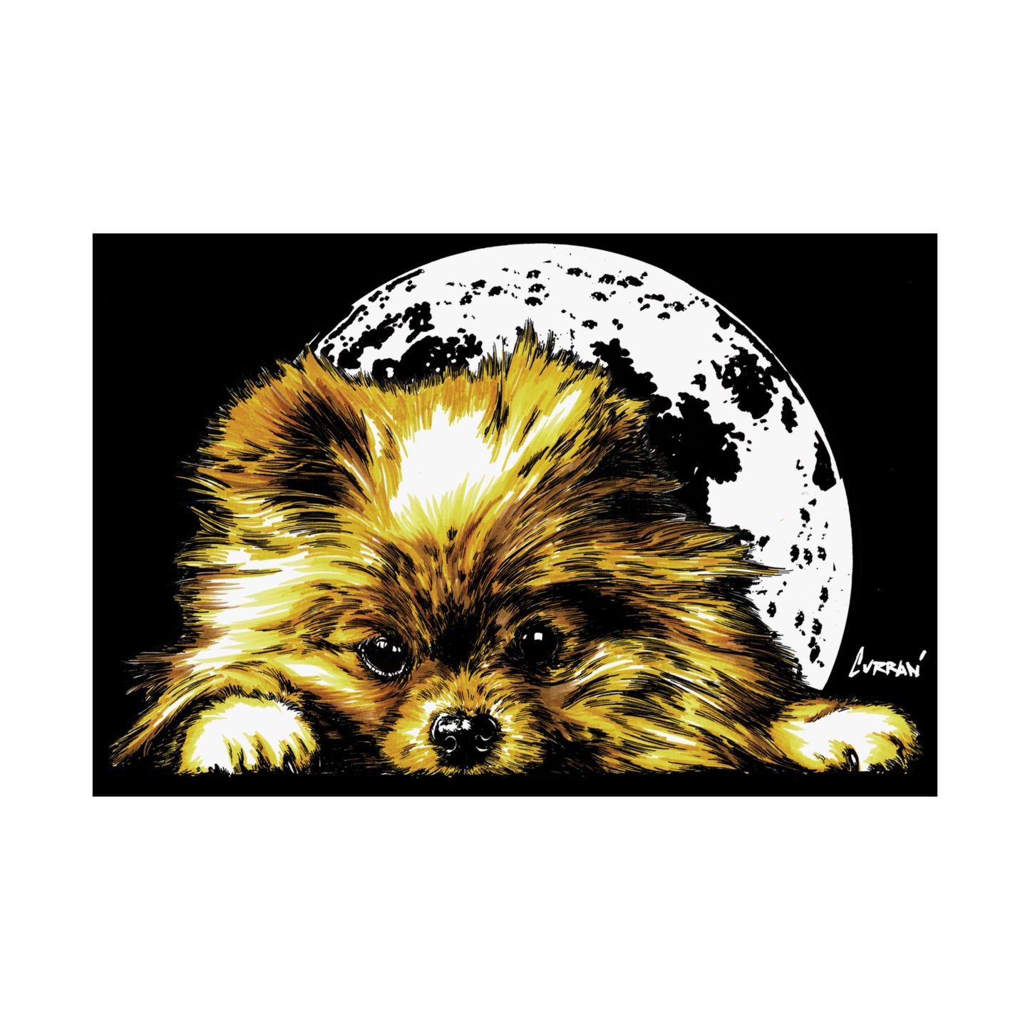 Beautiful Pomeranian Art Print - Satin Poster (300gsm)