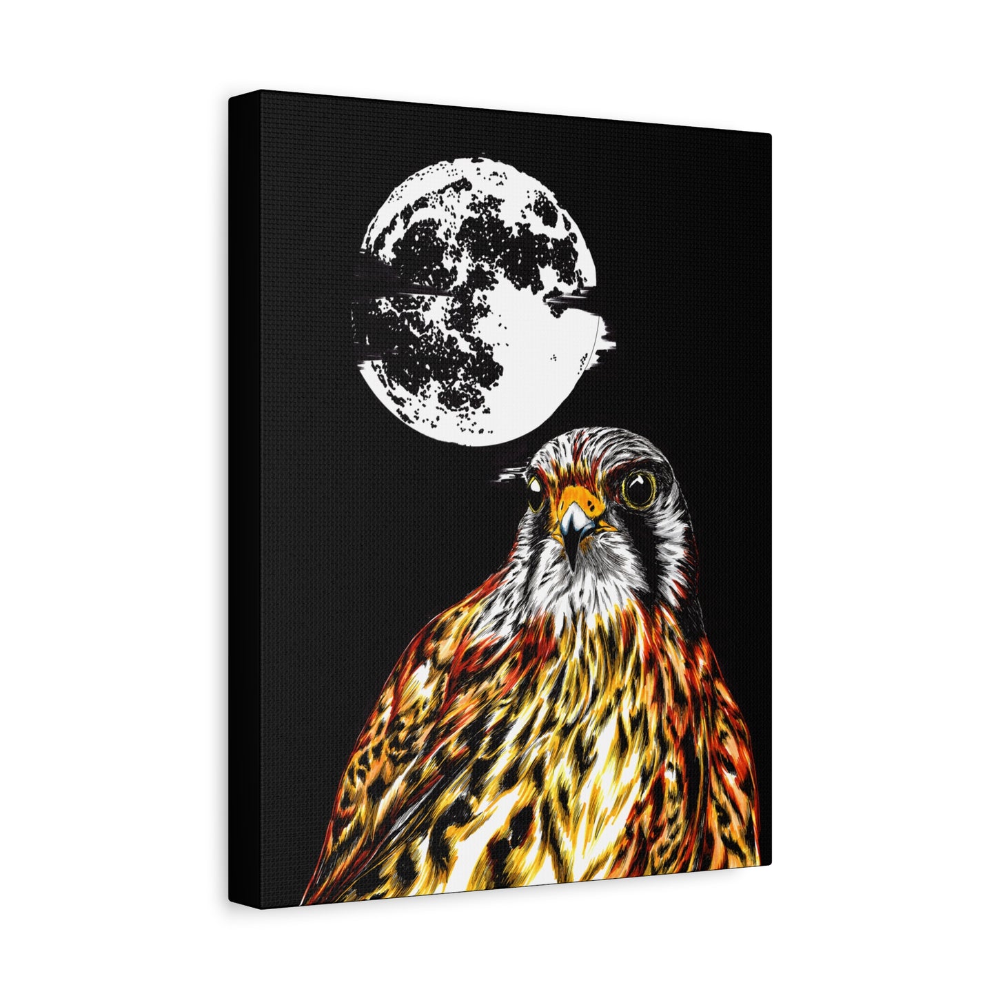 Falcon Wall Art, Falcon Print, Wildlife Art, Bird of Prey