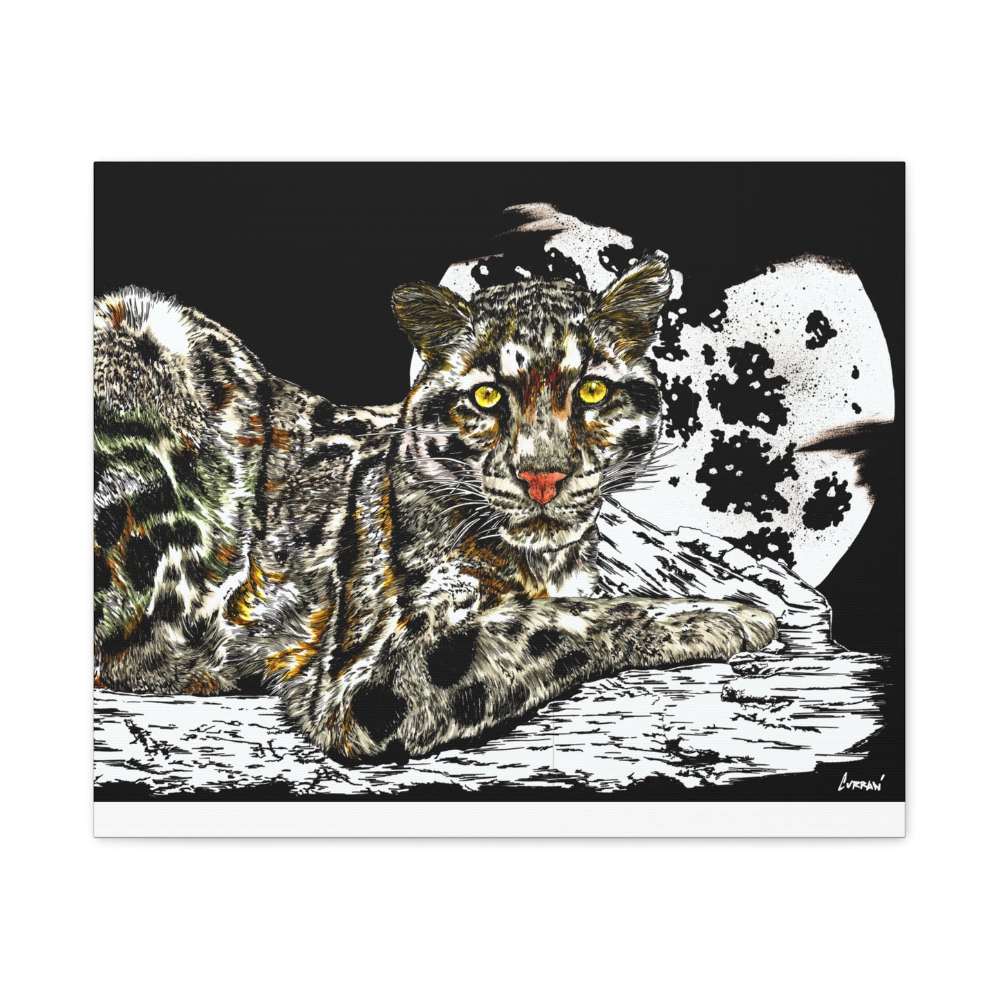 Leopard Canvas Art – Original Hand-Drawn Realistic and Detailed Big Cat Illustration printed on Matte Canvas, Stretched, 1.25"