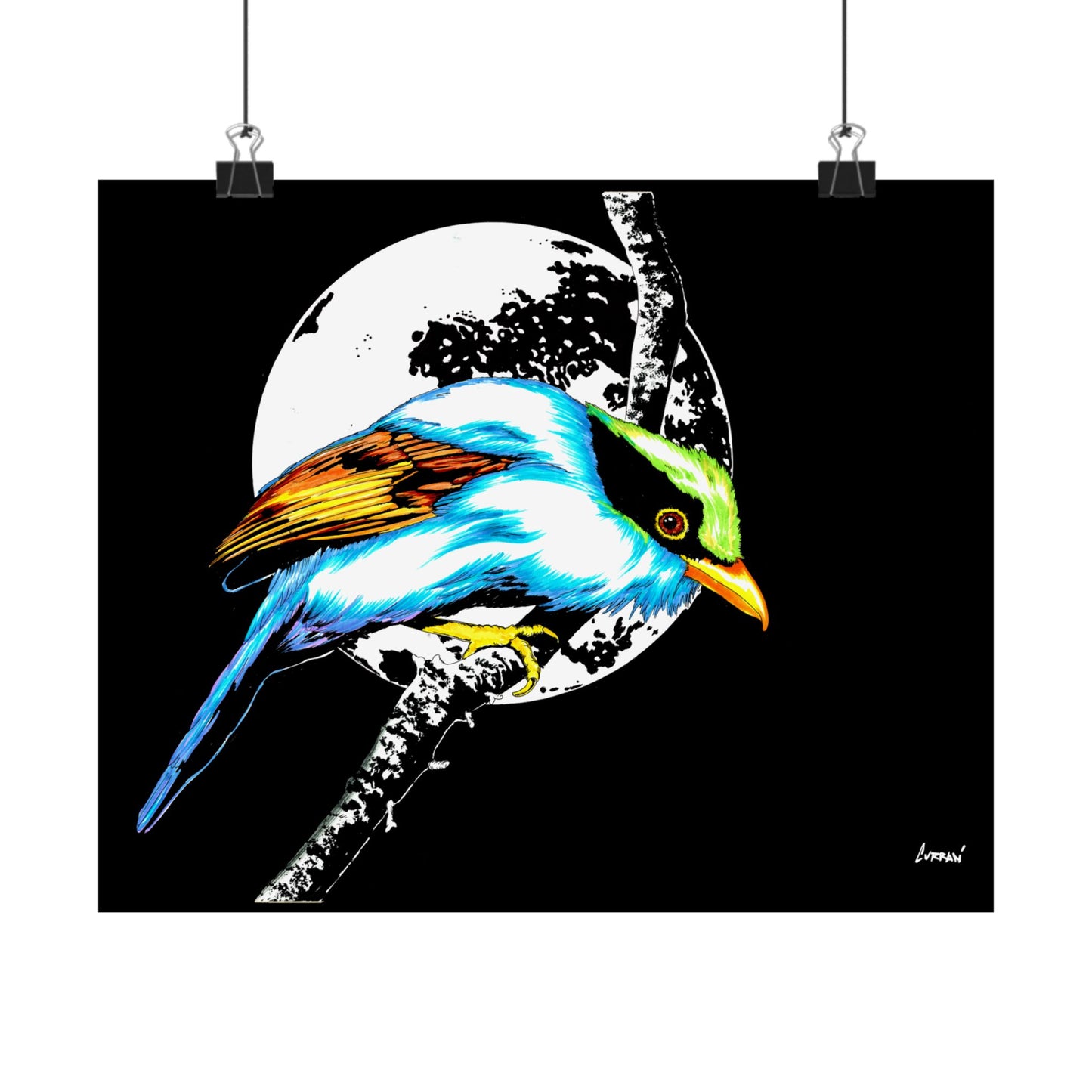 Vibrant Bird Satin Poster - 300gsm Wall Art Print for Nature Lovers