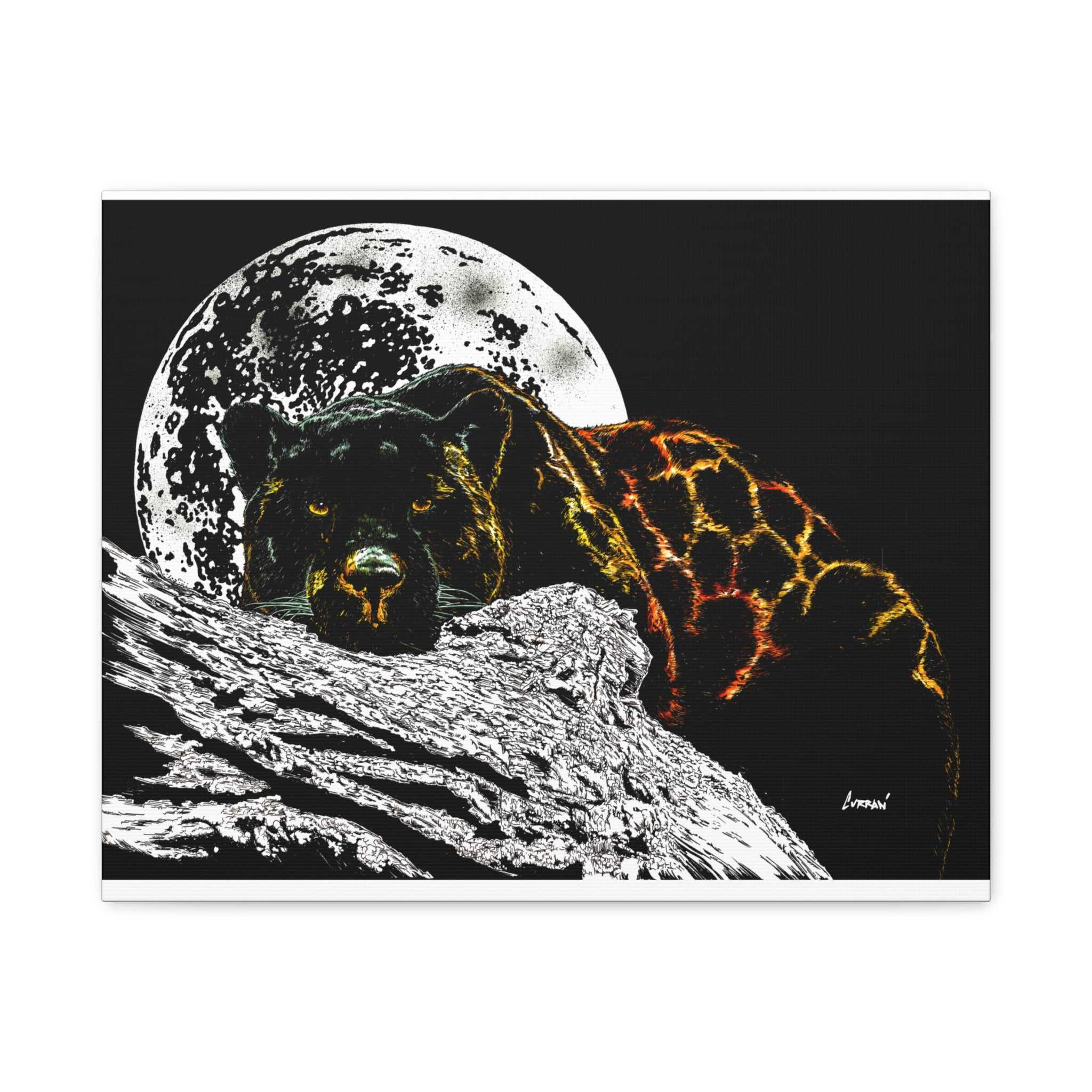 Panther in the Moonlight Print of my Original hand drawn art