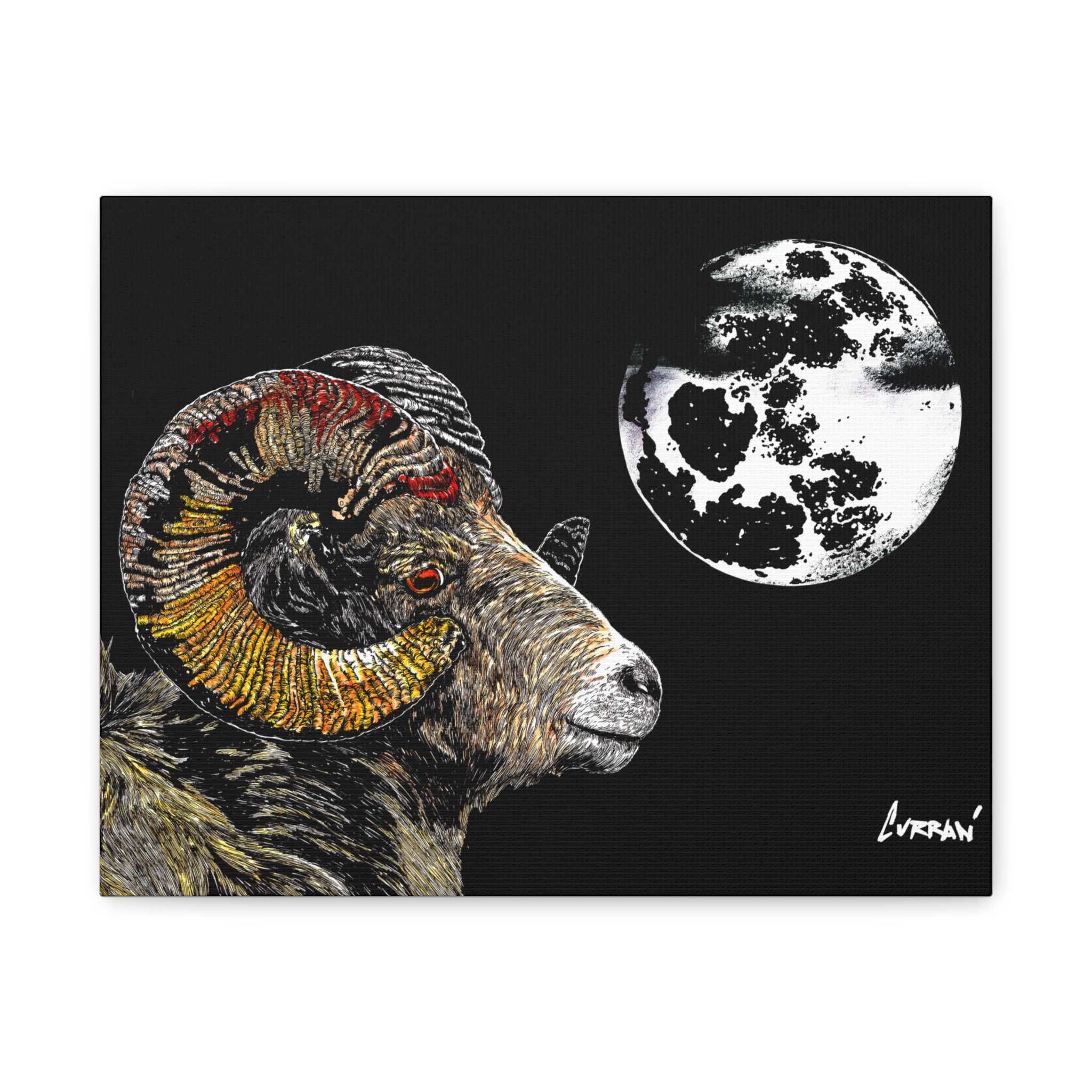 Mountain Ram Canvas Print - Art Print on Stretched Canvas