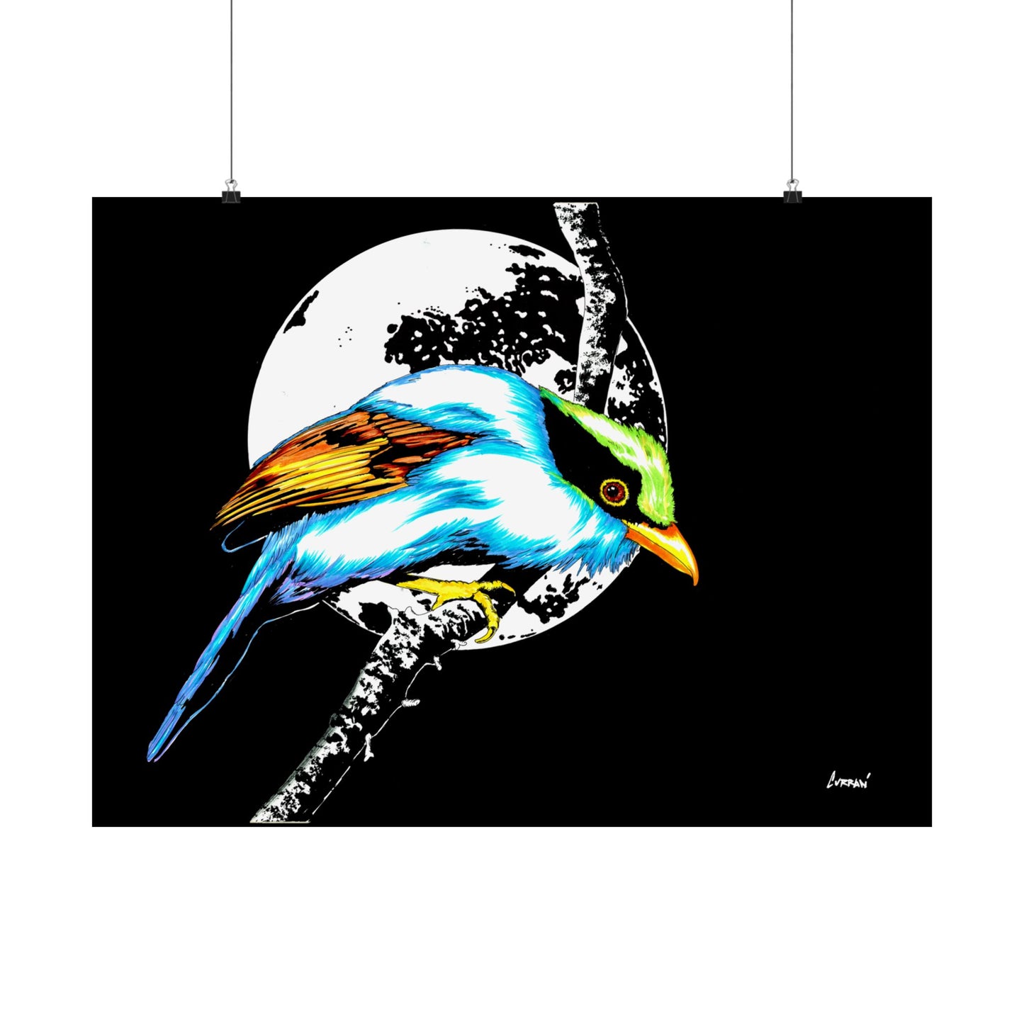 Vibrant Bird Satin Poster - 300gsm Wall Art Print for Nature Lovers