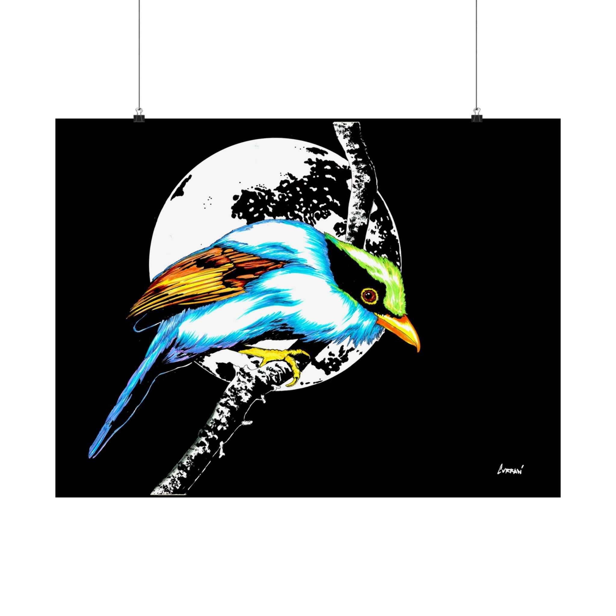 Bring nature's beauty into your space with our Vibrant Bird Satin Poster - Wall Art Print for Nature Lovers. Elevate your walls now!