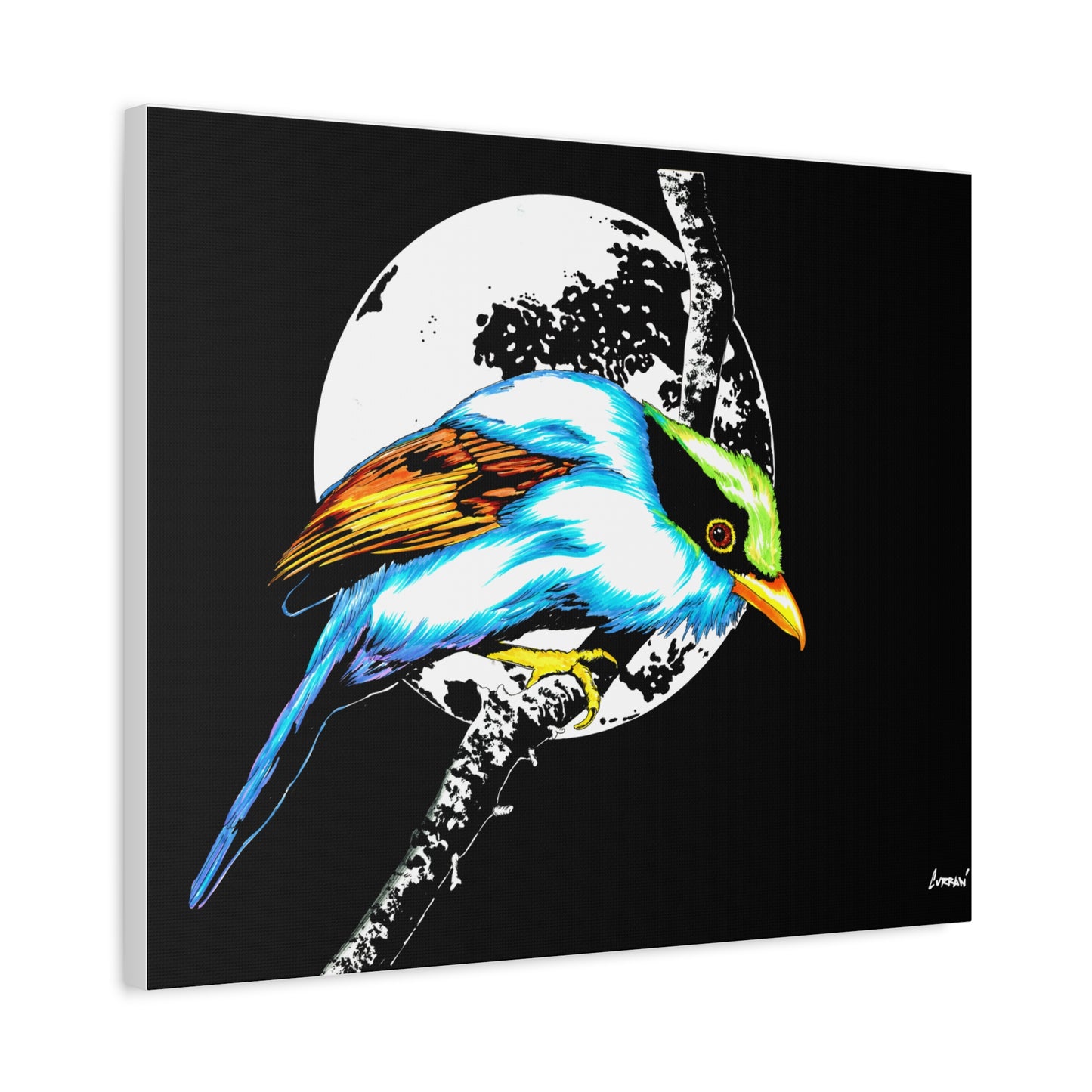 Exotic Bird Canvas Art – Original Hand-Drawn Vibrant,