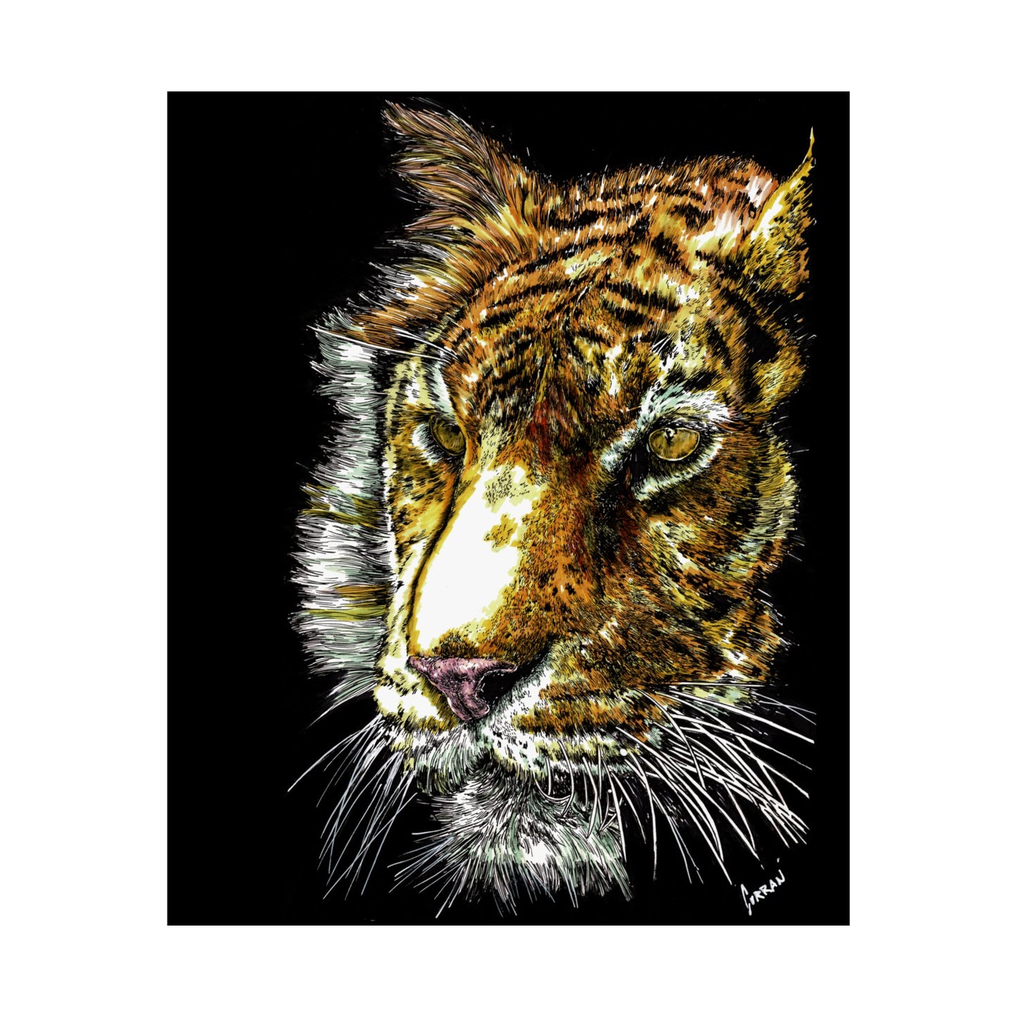 Majestic Tiger Satin Poster (300gsm) - Vibrant Wildlife Wall Art for Home Decor