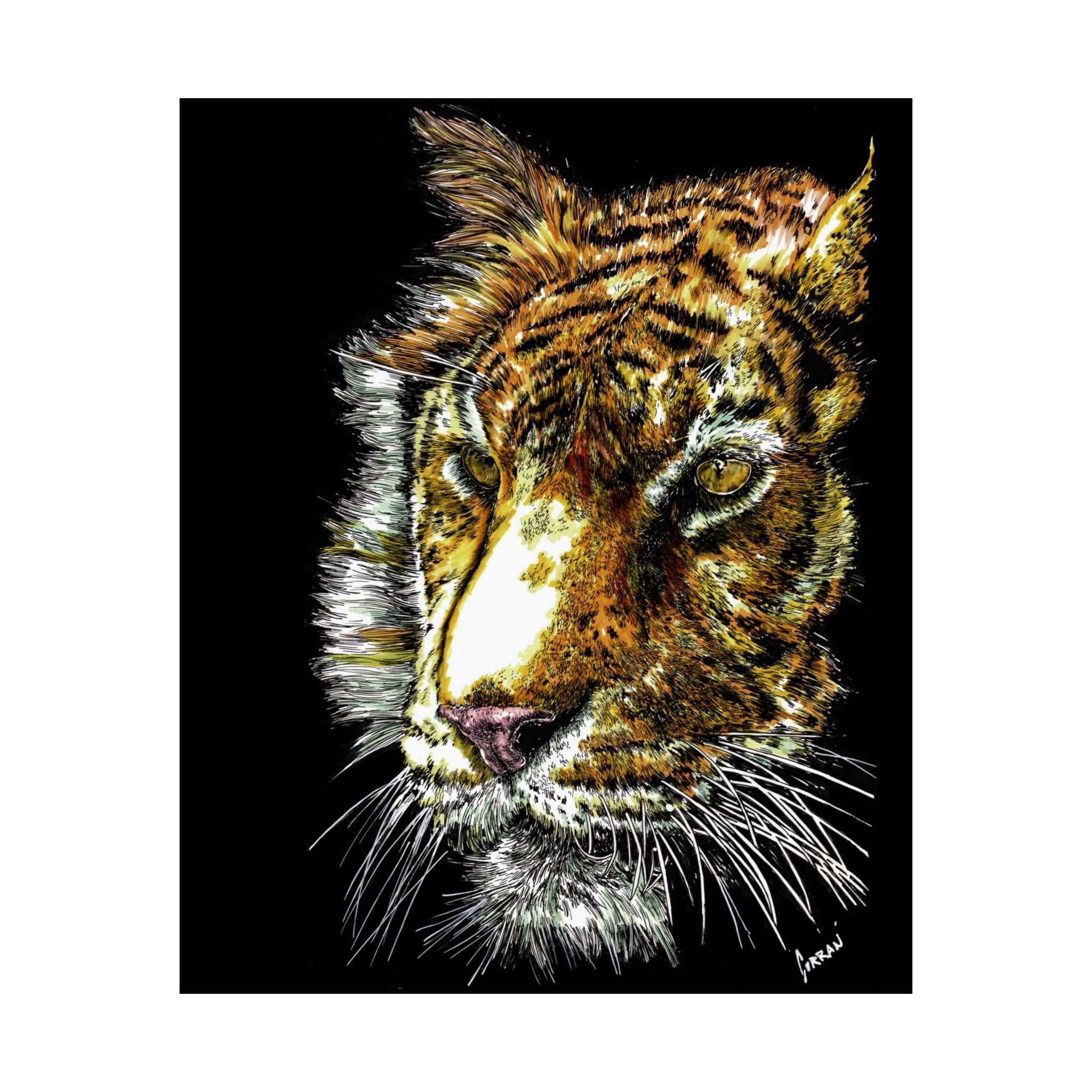 Tiger Satin Poster (300gsm) - Vibrant Wildlife Wall Art