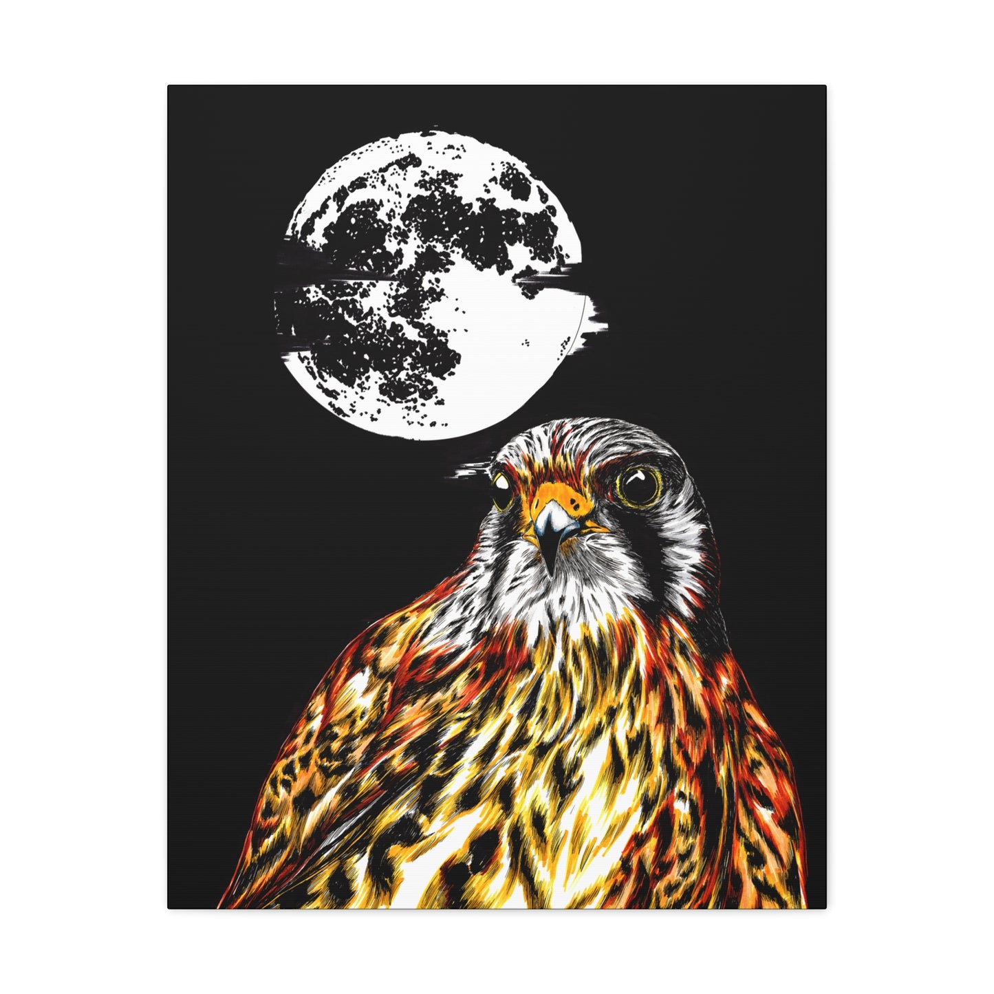 Falcon Wall Art, Falcon Print, Wildlife Art, Bird of Prey