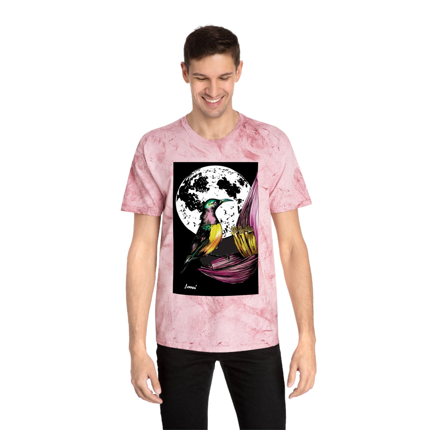 Colorful Hummingbird Art Unisex T Shirt Nature Design