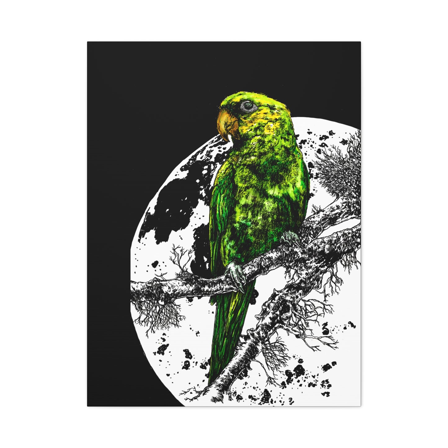 Green Parrot Wall Art Print - Matte Canvas, Stretched,