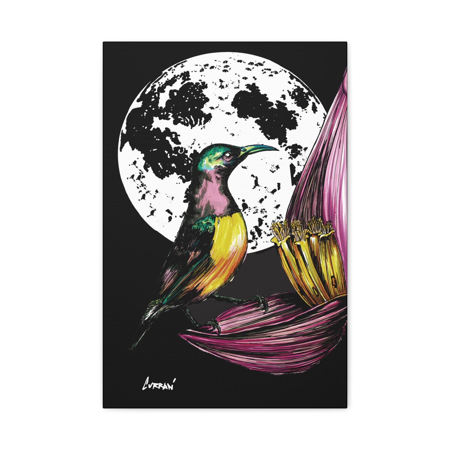 Hummingbird Wall Art Print of the Original, hand drawn