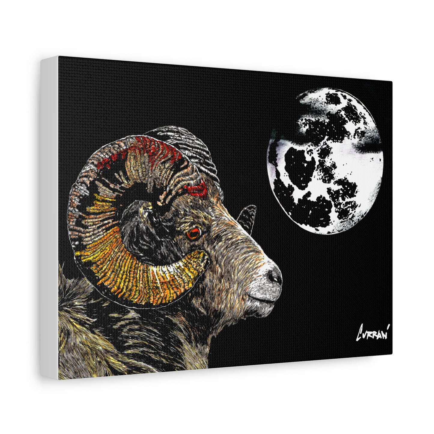 Mountain Ram Canvas Print - Art Print on Stretched Canvas