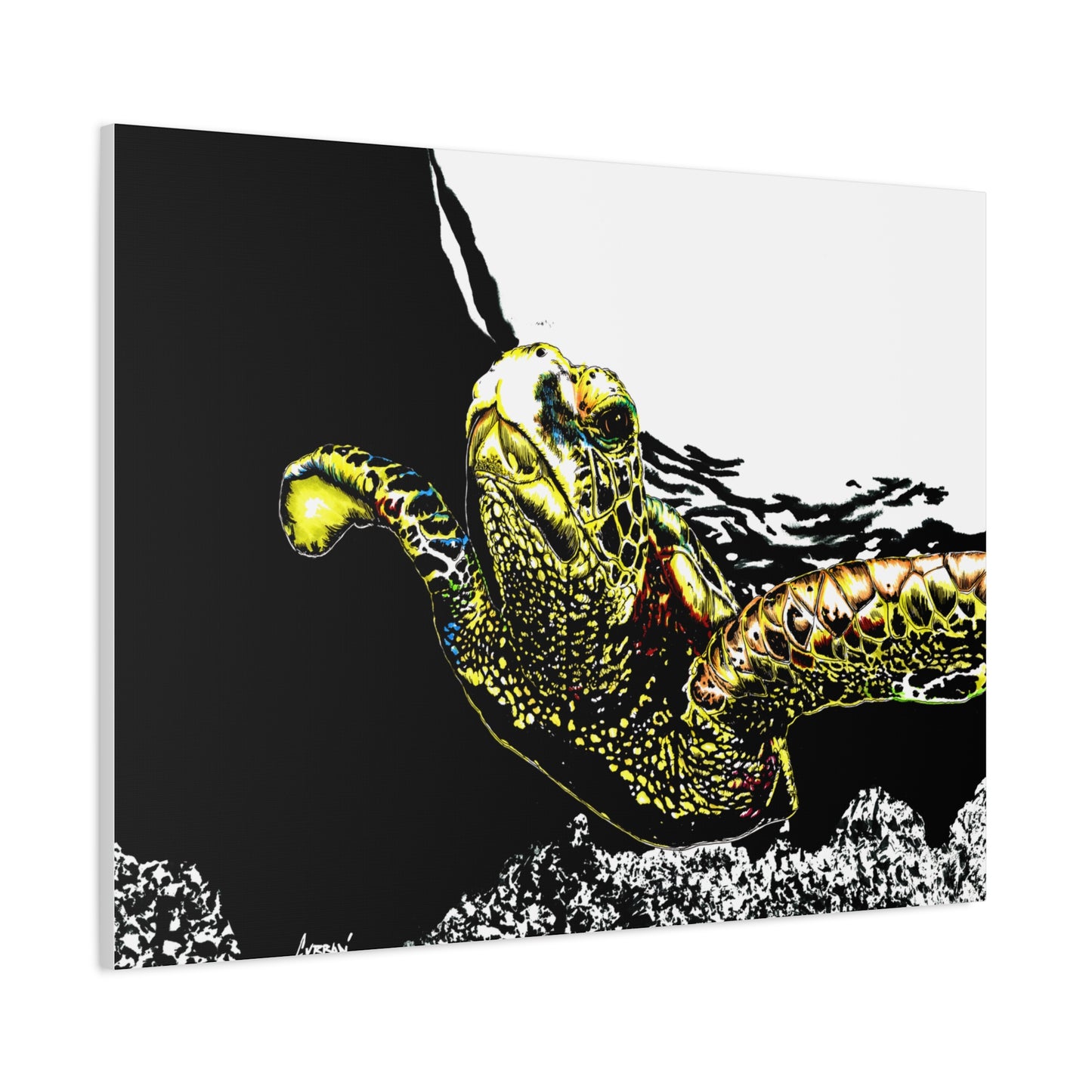Sea Turtle Art Print of my Original hand drawn art printed on stretched canvas of a Sea Turtle