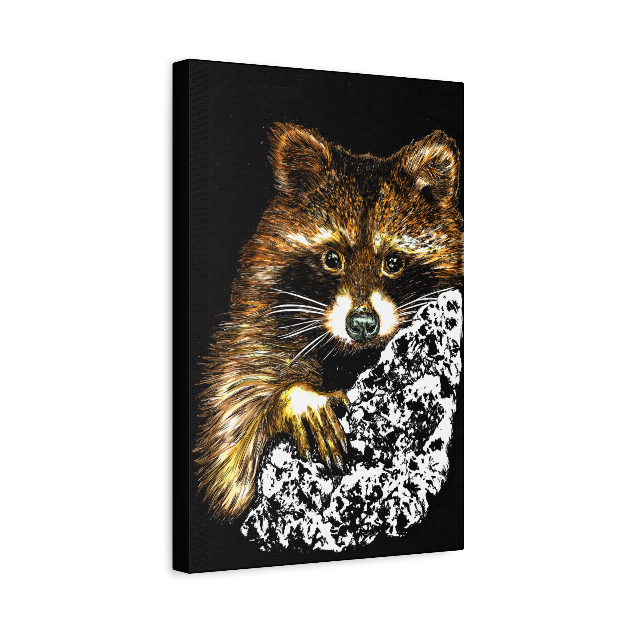 Raccoon in Tree Wall Art Canvas Print of the Original, hand drawn animal wall art poster of a Raccoon in a Tree by artist Kris Curran at Curran Artworks.