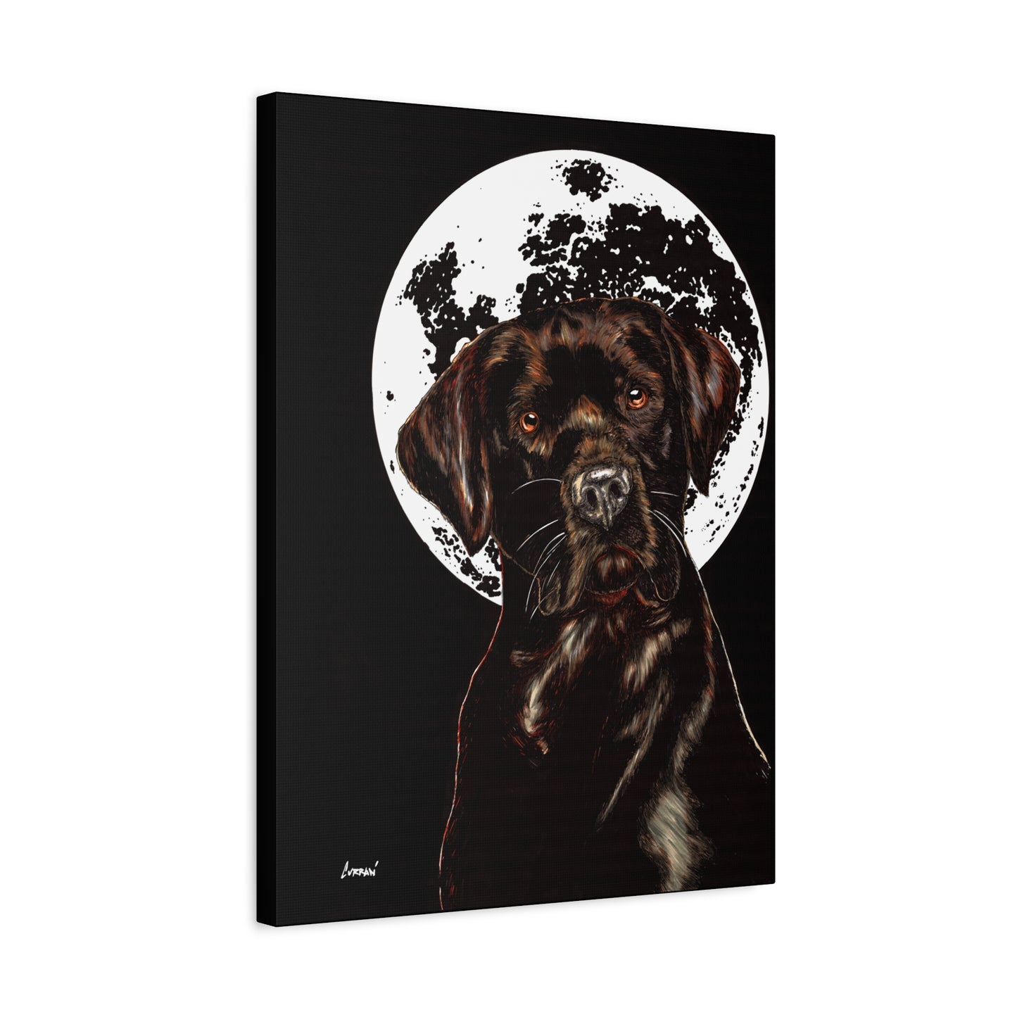 Chocolate Lab in Moonlight Wall Art Print of the Original