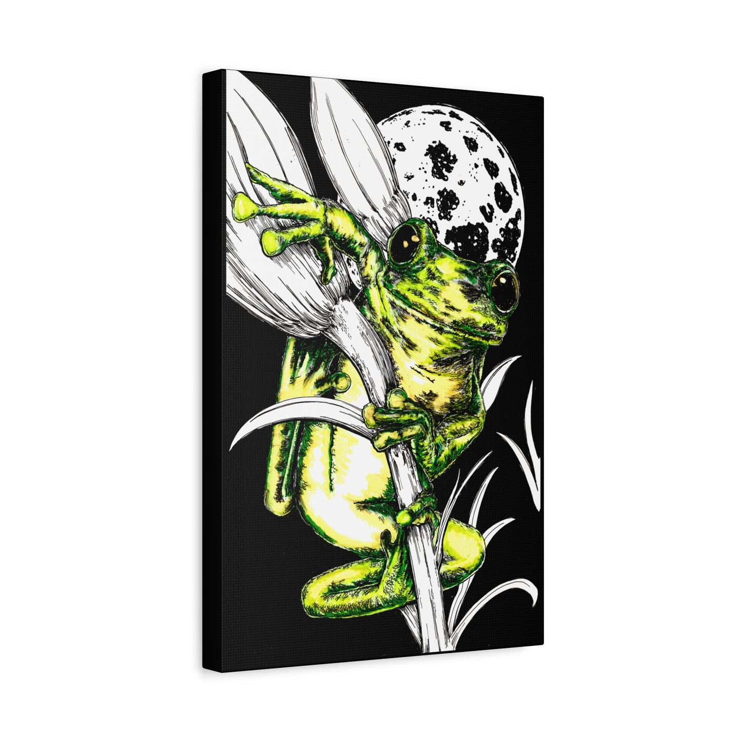 Frog 1 Wall Art Print of the Original, hand drawn wall art