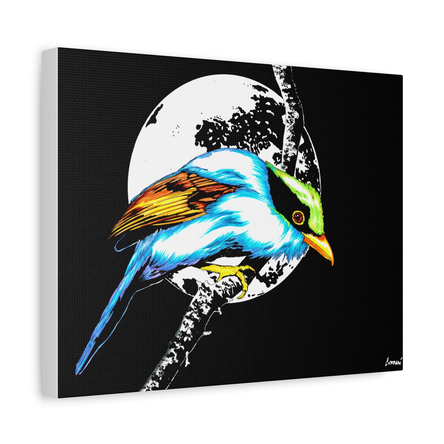 Exotic Bird Canvas Art – Original Hand-Drawn Vibrant,