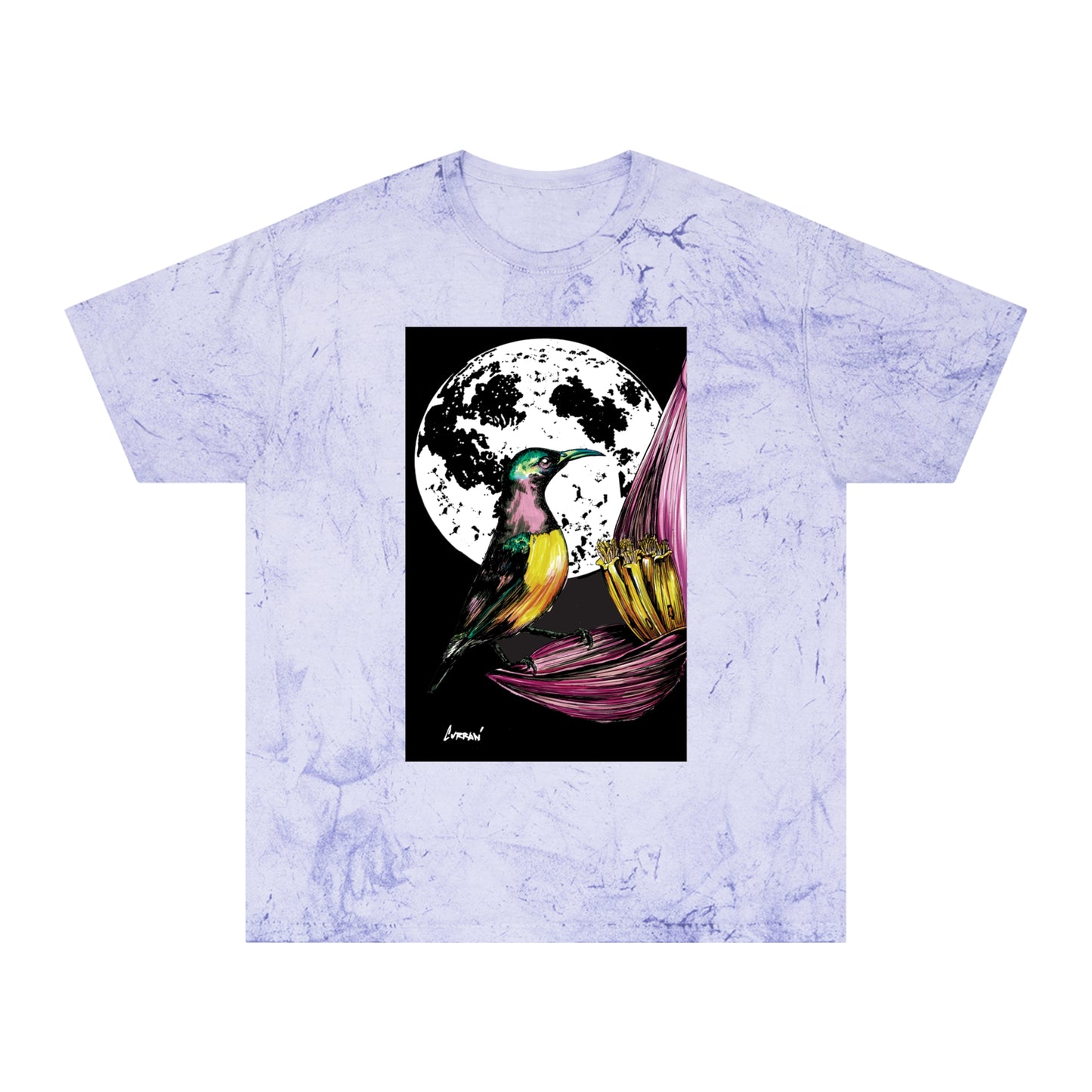 Colorful Hummingbird Art Unisex T Shirt Nature Design