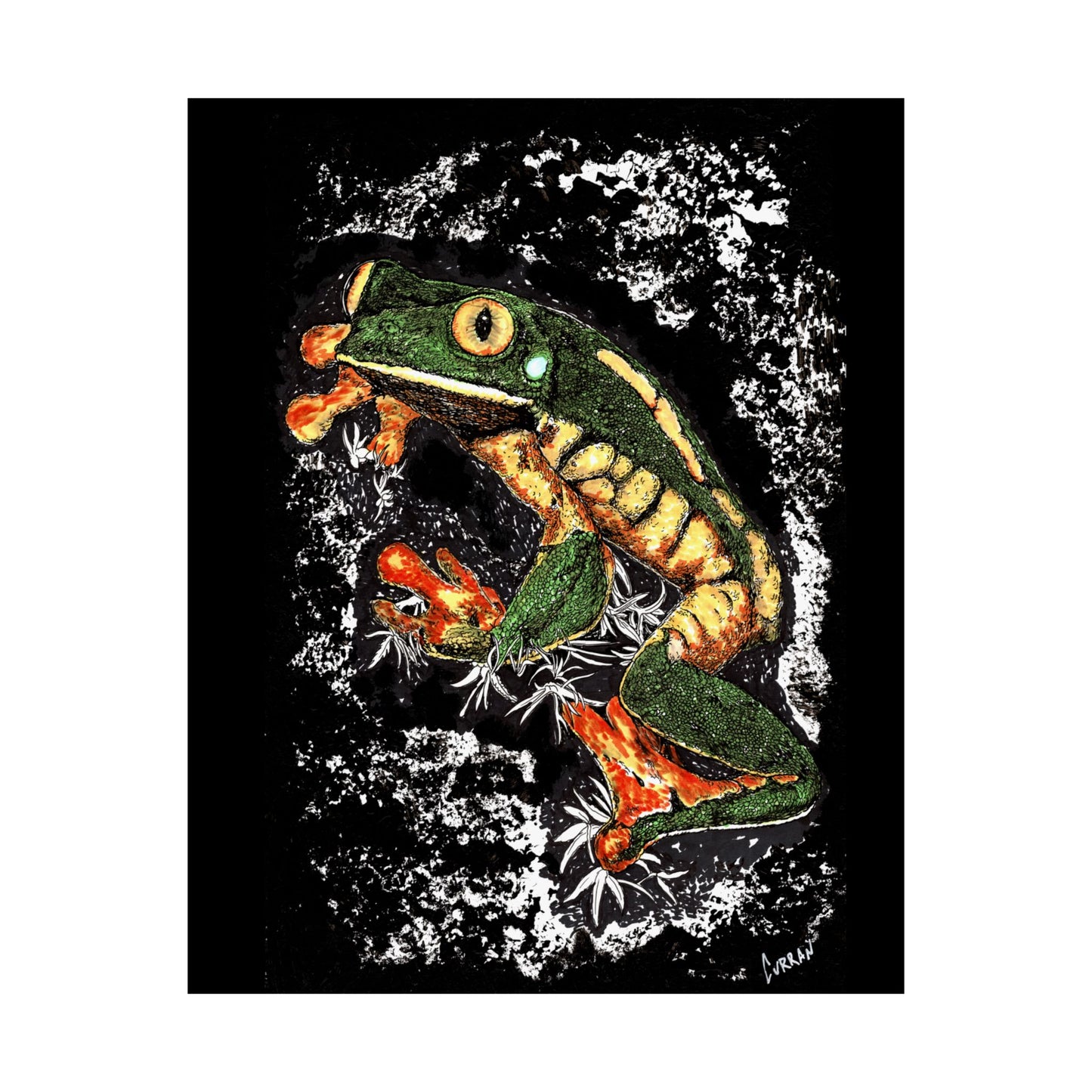 Vibrant Frog Satin Poster - 300gsm Art Print for Nature Lovers