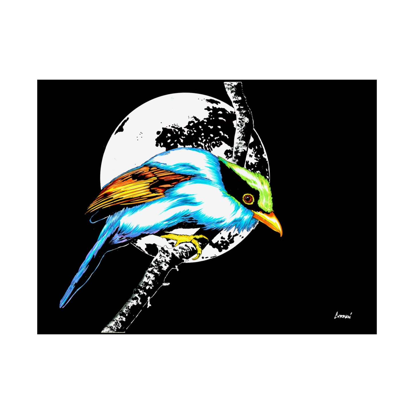 Vibrant Bird Satin Poster - 300gsm Wall Art Print for Nature Lovers