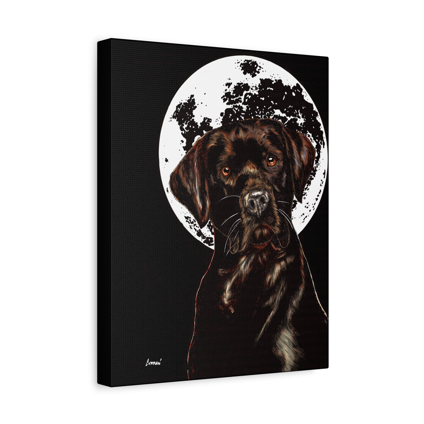 Chocolate Lab in Moonlight Wall Art Print of the Original