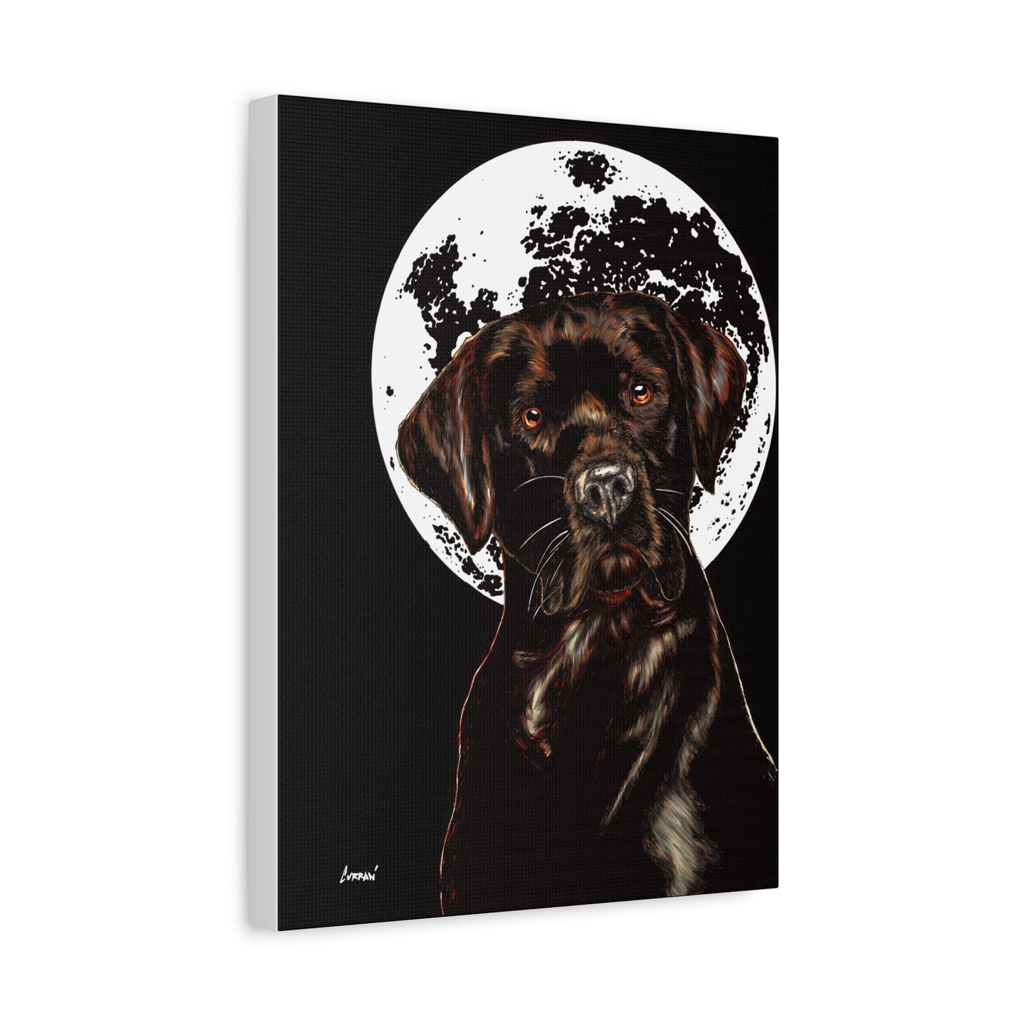 Chocolate Lab in Moonlight Wall Art Print of the Original