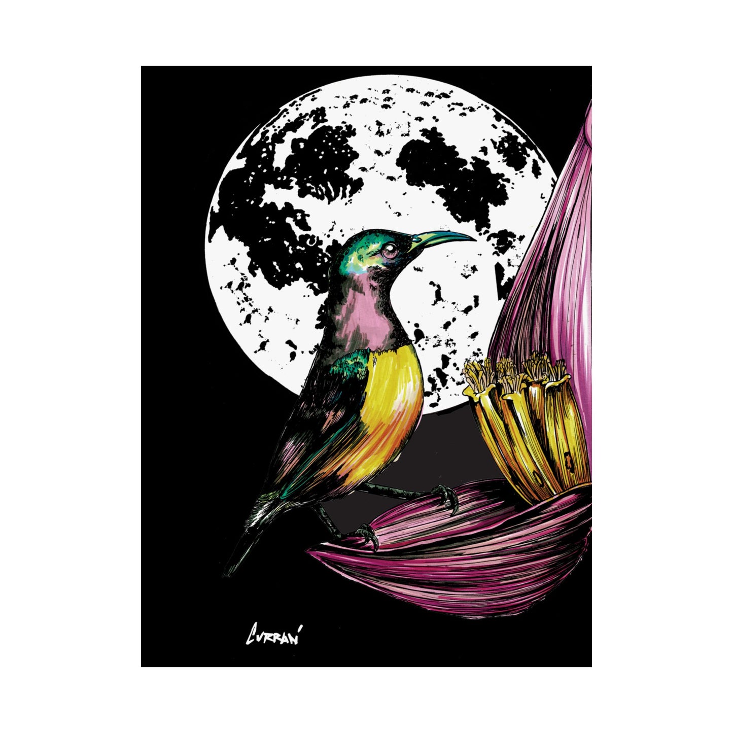Vibrant Bird Satin Poster - 300gsm Art Print for Nature Lovers