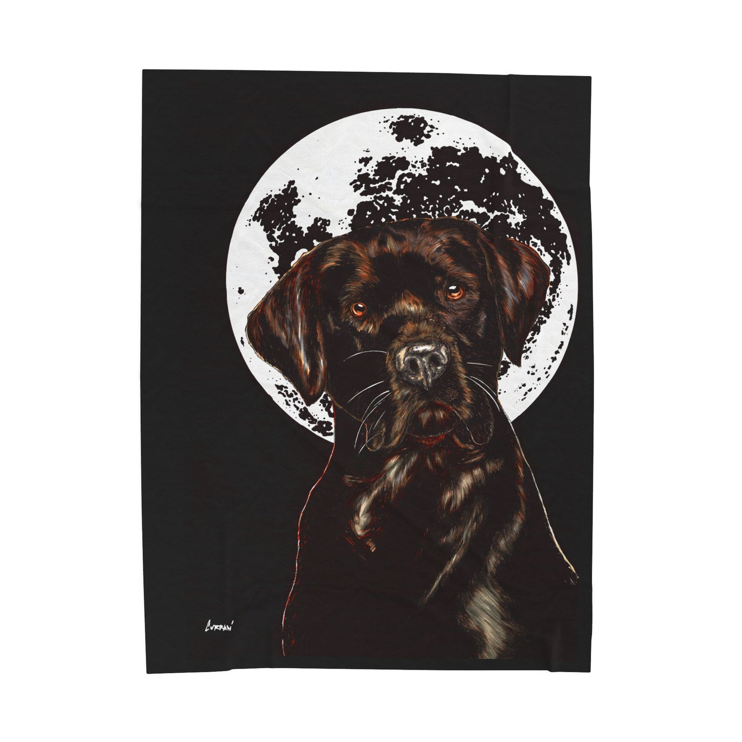 Chocolate Lab Dog Moon Velveteen Plush Blanket