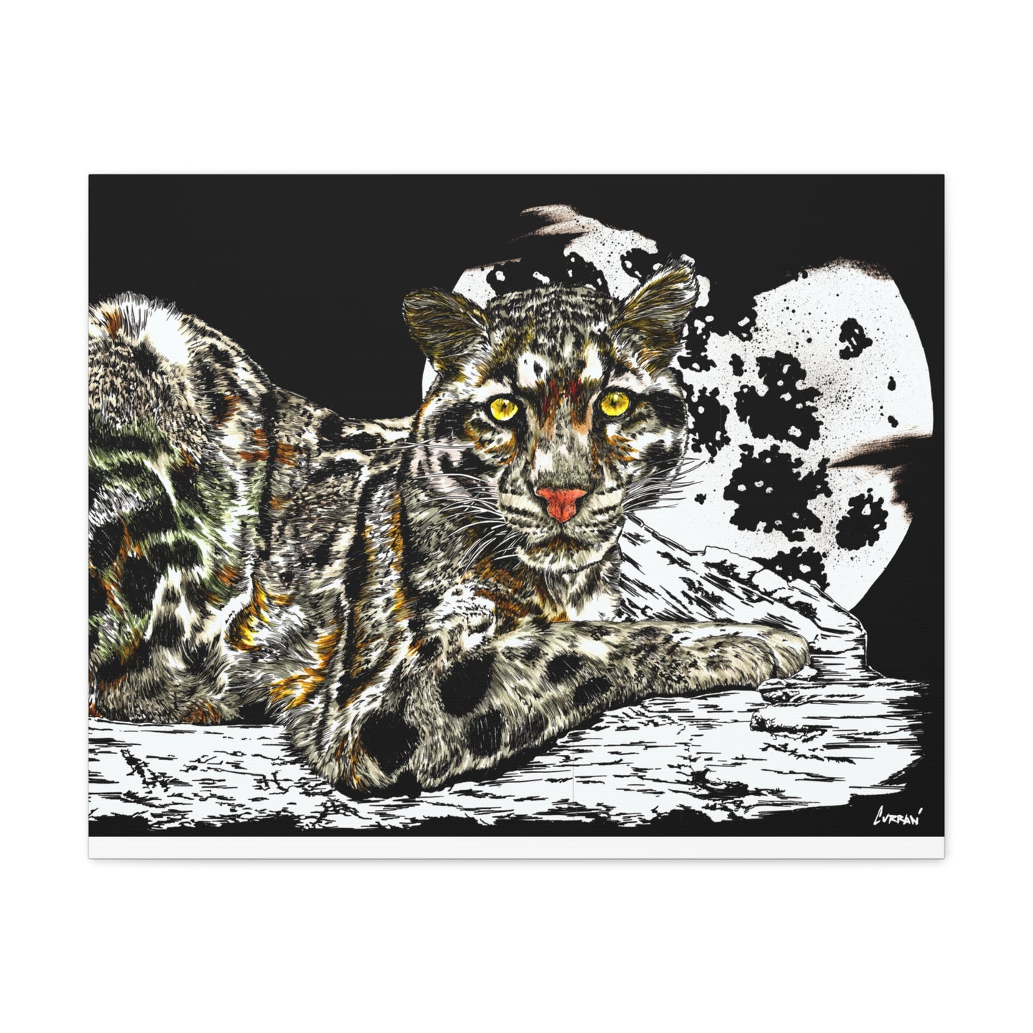 Leopard Canvas Art – Original Hand-Drawn Realistic and Detailed Big Cat Illustration printed on Matte Canvas, Stretched, 1.25"