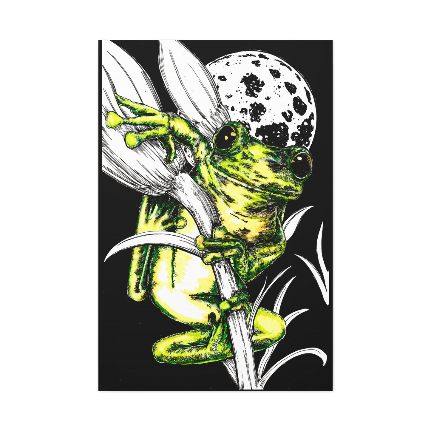 Frog 1 Wall Art Print of the Original, hand drawn wall art