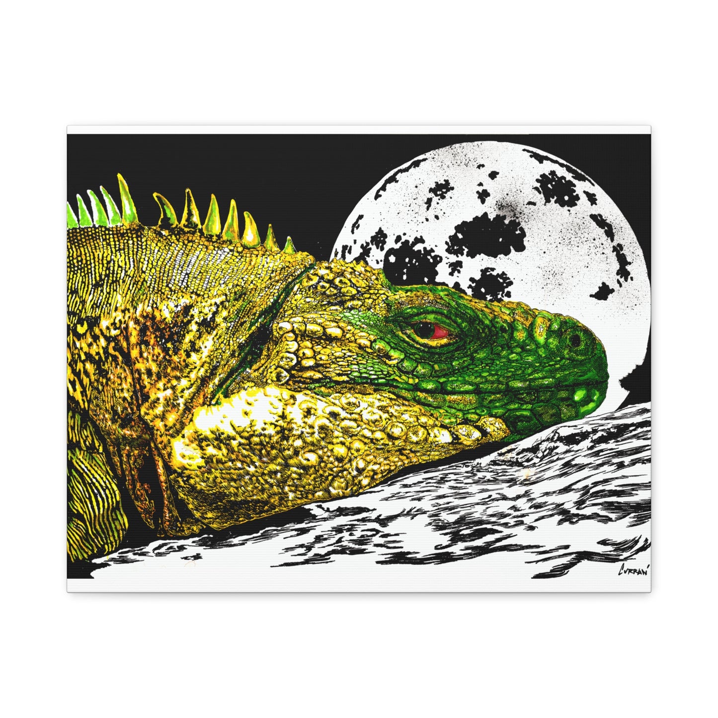 Reptile Art Print, Print of my Original hand drawn art printed on stretched canvas of a Reptile