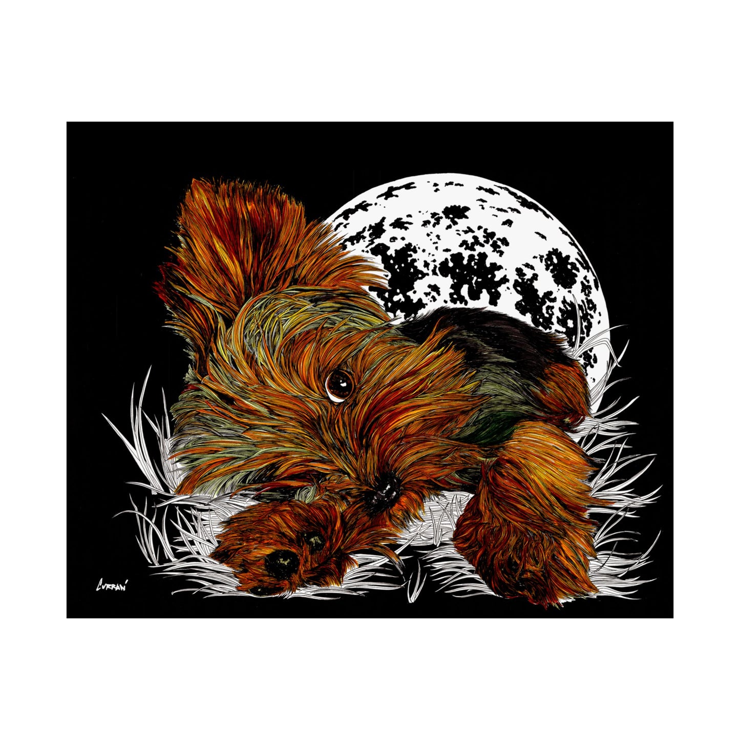 Yorkshire Terrier Satin Poster - 300gsm Art Print for Dog Lovers