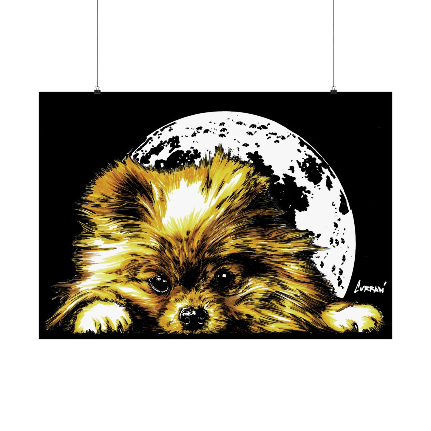 Beautiful Pomeranian Art Print - Satin Poster (300gsm)