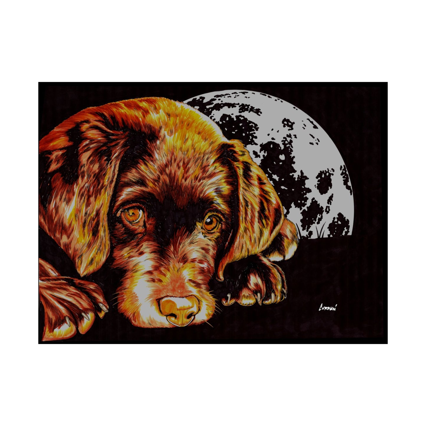 Chocolate Lab Puppy Adorable Dog Satin Poster