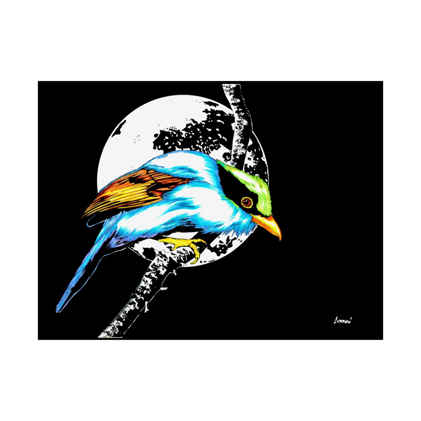 Vibrant Bird Satin Poster - 300gsm Wall Art Print for Nature Lovers