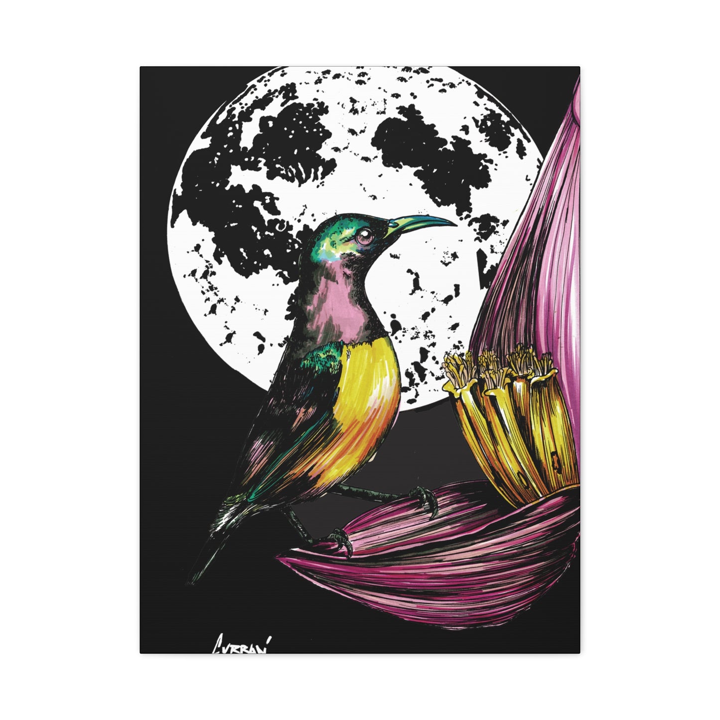 Hummingbird Wall Art Print of the Original, hand drawn