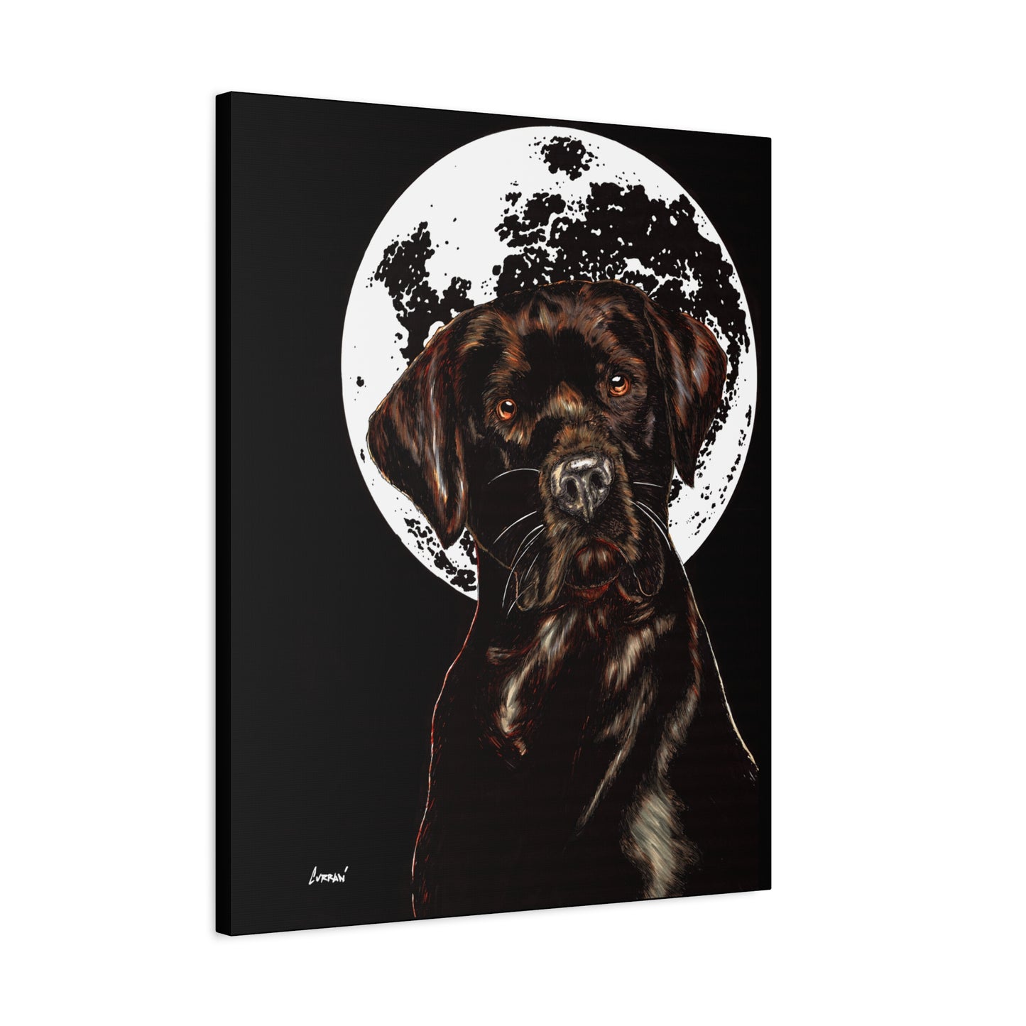 Chocolate Lab in Moonlight Wall Art Print of the Original