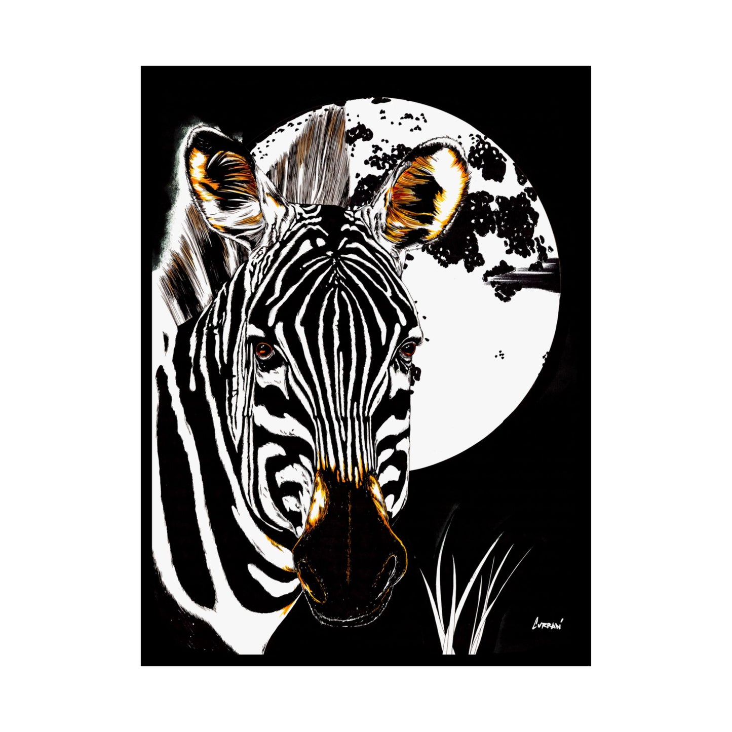 Zebra Satin Poster - Art Print Poster of the Original Art