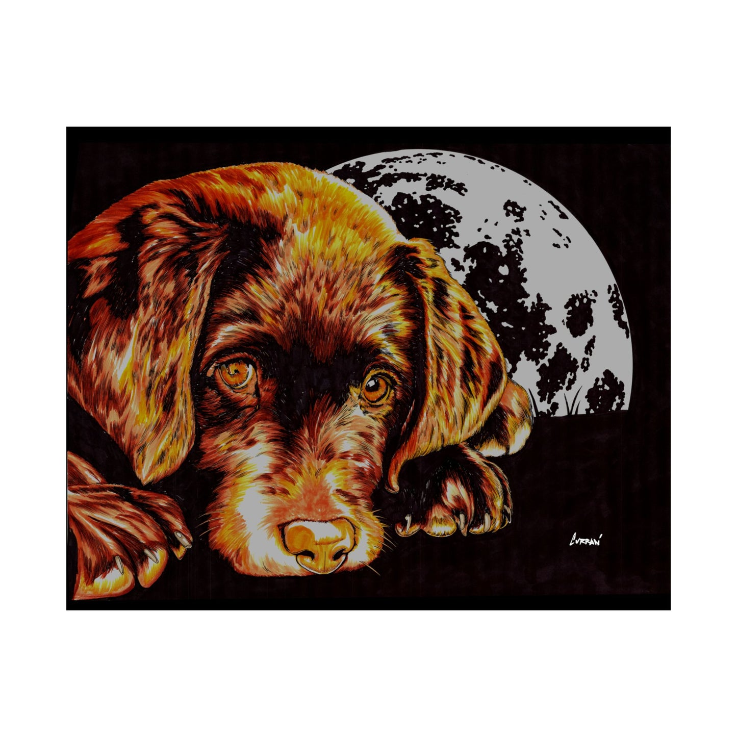 Chocolate Lab Puppy Adorable Dog Satin Poster