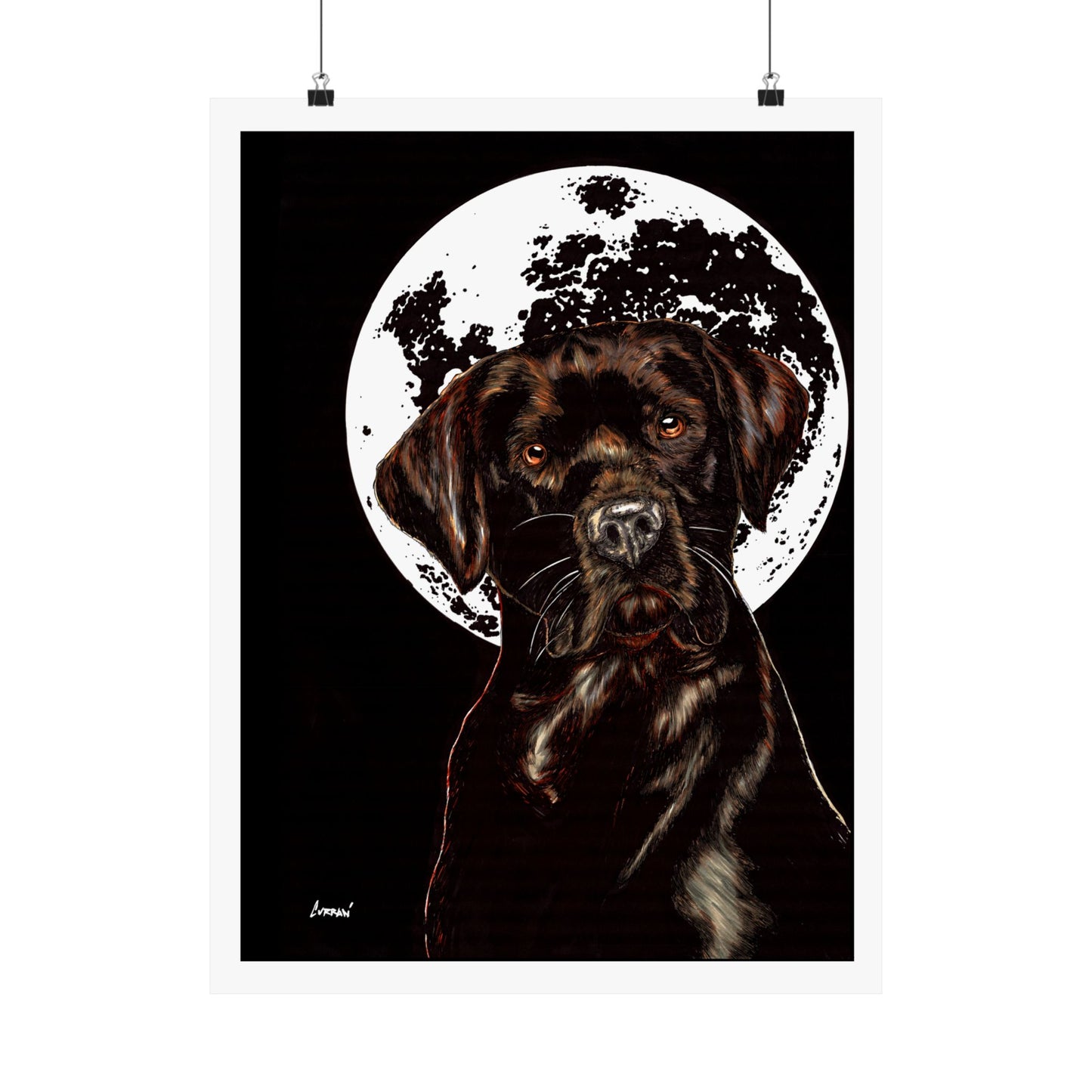 Chocolate Lab Dog Moonlight Satin Poster