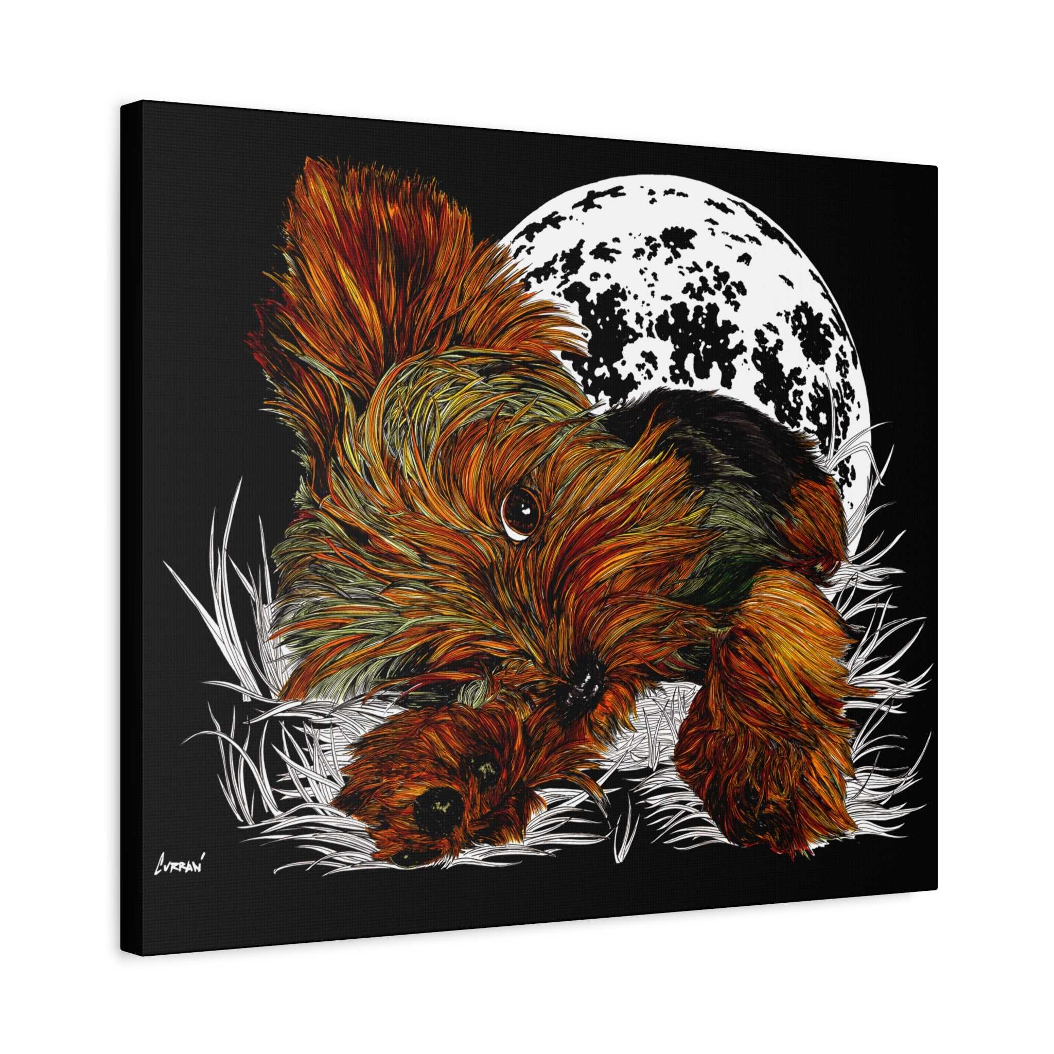 Bring a touch of charm to your walls with this adorable Yorkie Terrier Canvas Print - Cozy Yorkie with Moon Design. Perfect for dog lovers!