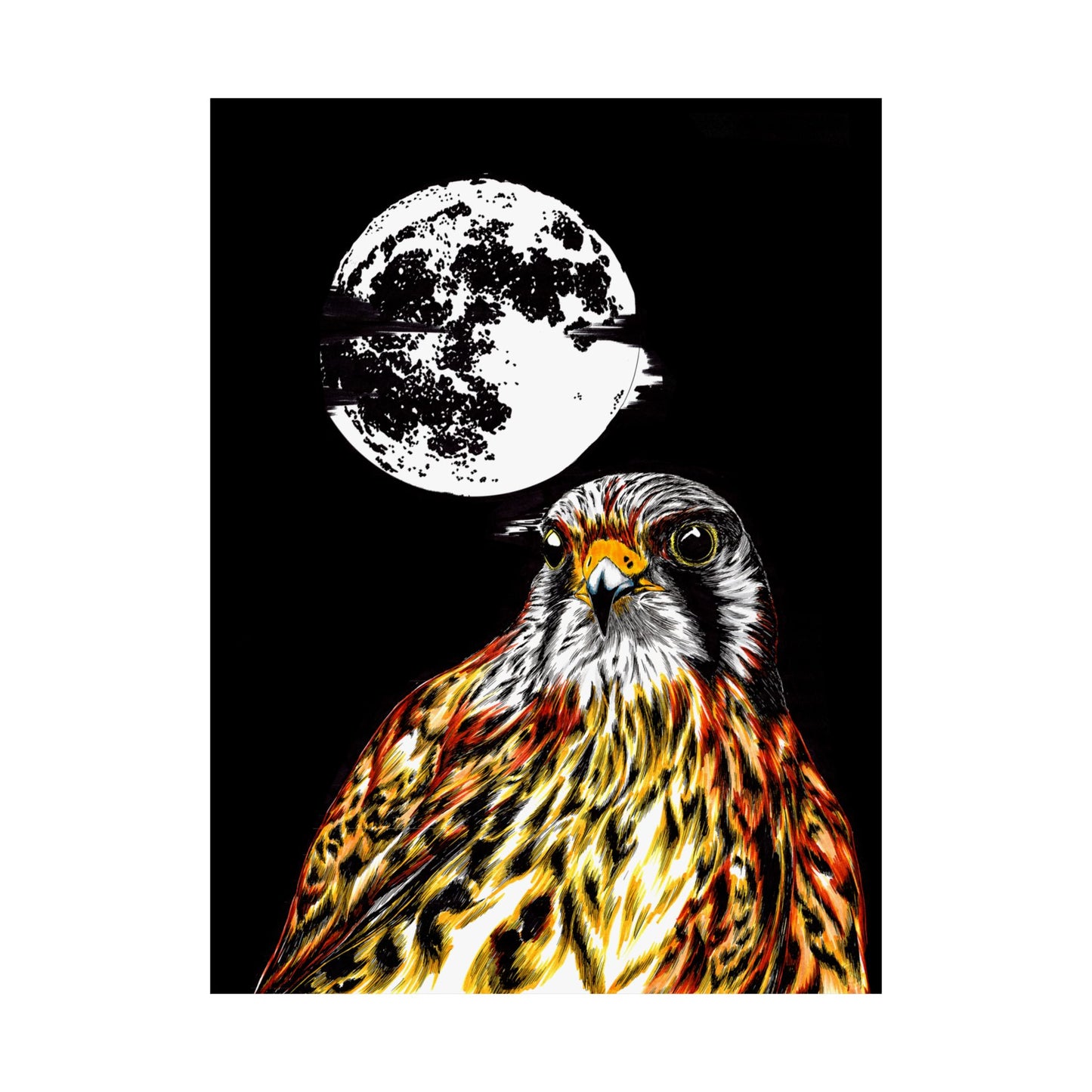 Wildlife Satin Poster - Majestic Falcon with Moon Design